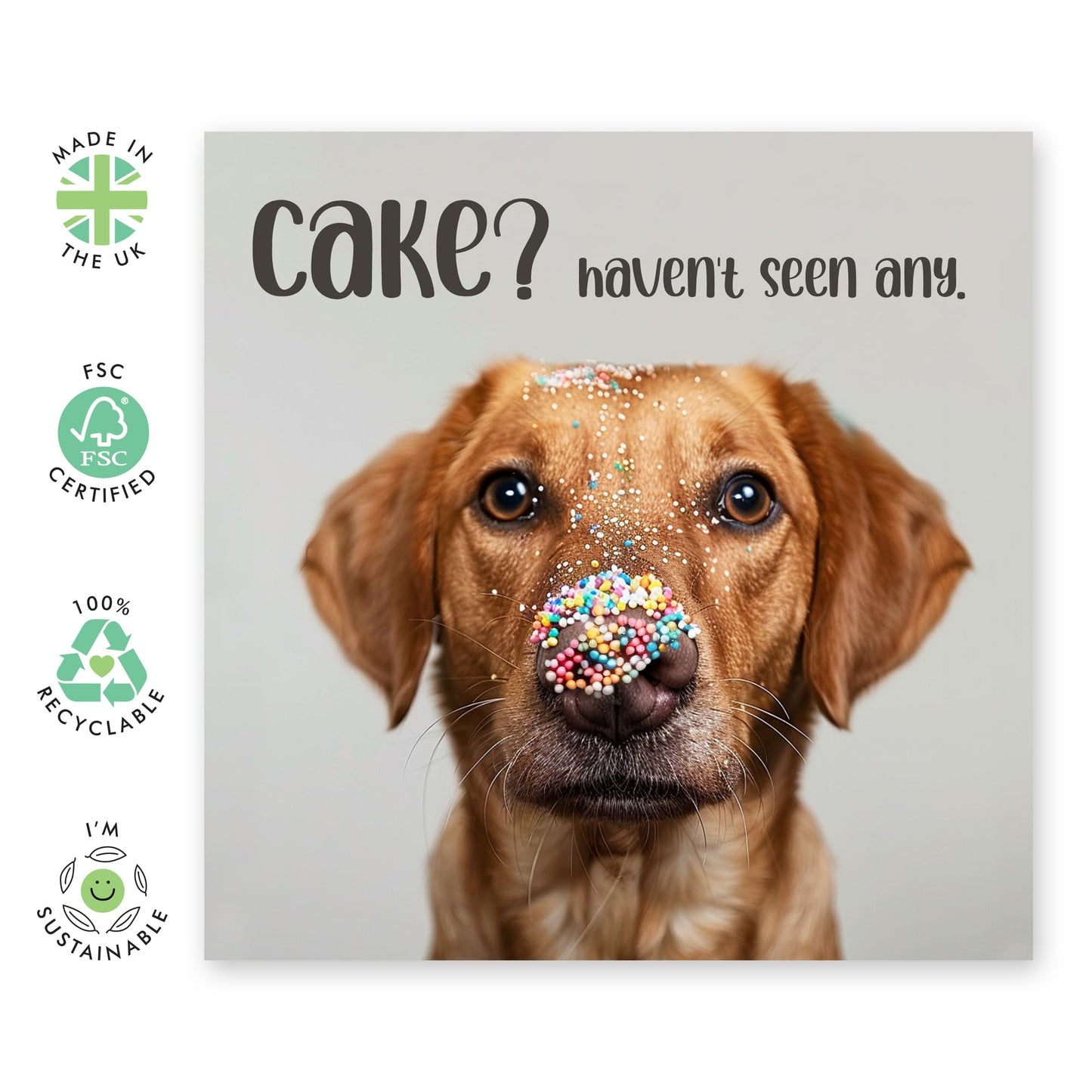 Valentines Day Card Girlfriend Boyfriend - Haven't Seen Any Cake Dog - Anniversary Card Couple Fiance - Husband Wife Greeting Card - Love Cards For Him Her - Comes With Stickers By Central 23