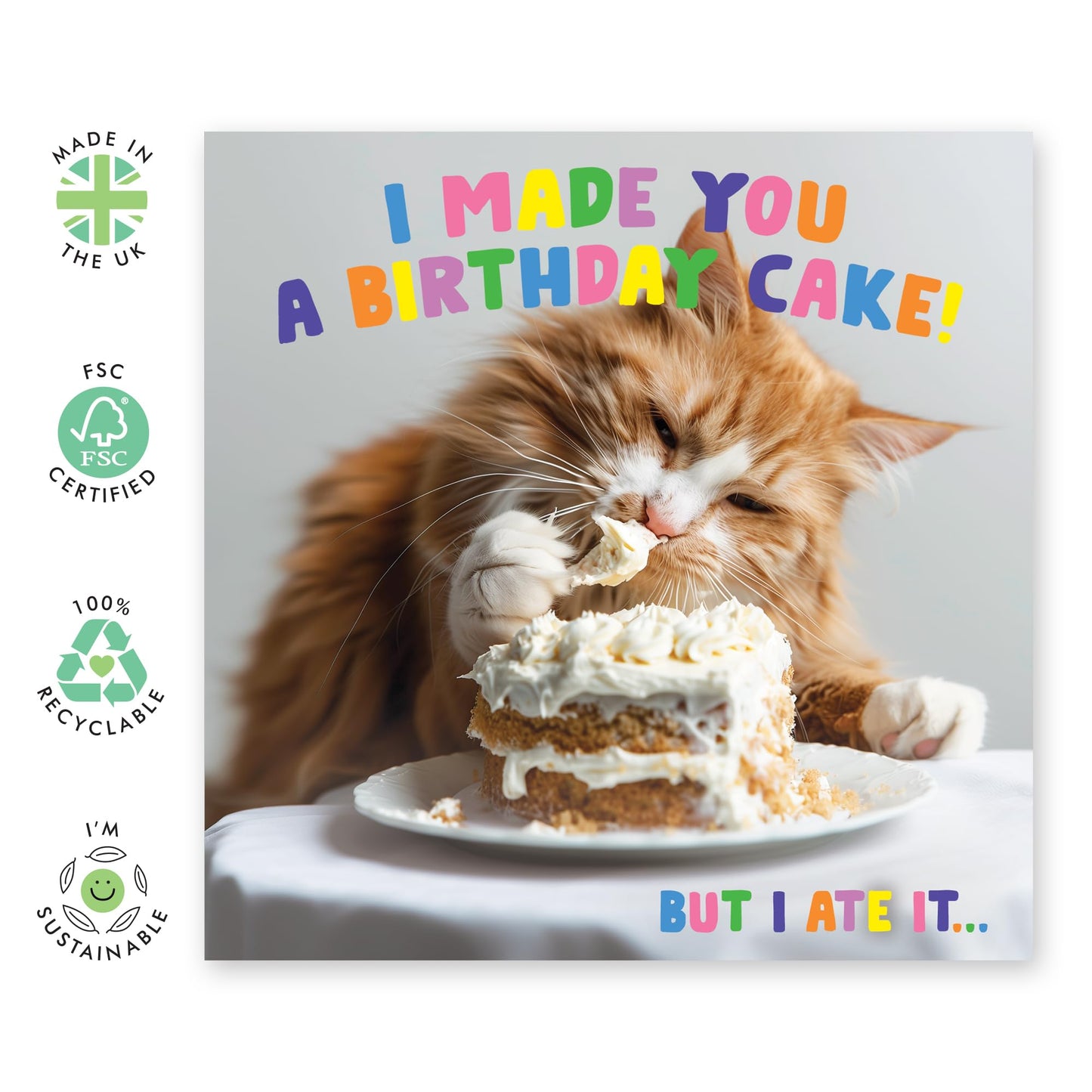 Birthday Greeting Card - 'MADE YOU A BIRTHDAY CAKE CAT' - Perfect for Adding a Sweet & Feline Twist to Celebrations - Ideal for Cat Lovers Who Loves a Fun Surprise - Comes With Stickers By Central 23