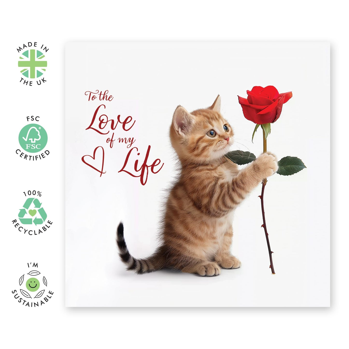 Greeting Card - 'LOVE OF MY LIFE KITTEN' - Perfect for Celebrating a Special Bond with a Touch of Feline Cuteness - Ideal for Showing Affection to Your Loved One - Comes With Stickers By Central 23