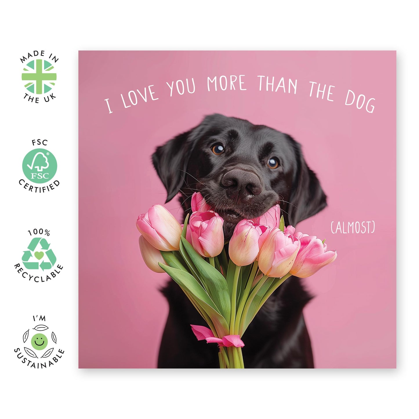 Greeting Card - LOVE YOU MORE THAN THE DOG - Perfect for Adding a Touch of Humor and Heartfelt Affection - Ideal for Celebrating Your Special Bond with a Fun Twist - Comes With Stickers By Central 23