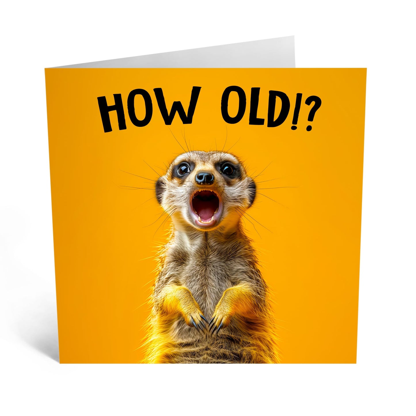 Birthday Greeting Card - 'HOW OLD? MEERKAT' - Ideal for Celebrating Milestones with a Playful Twist - Perfect for Animal Lovers & Adding Fun to Any Age Celebration - Comes With Stickers By Central 23