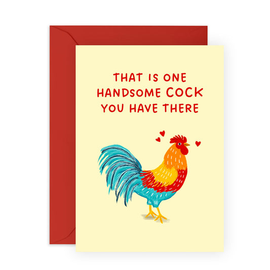Naughty Greeting Cards - One Handsome Cock - Valentines Day Card Girlfriend Boyfriend - Anniversary Card Couple - Greeting Cards Fiance - Husband Wife - Comes With Fun Stickers By Central 23