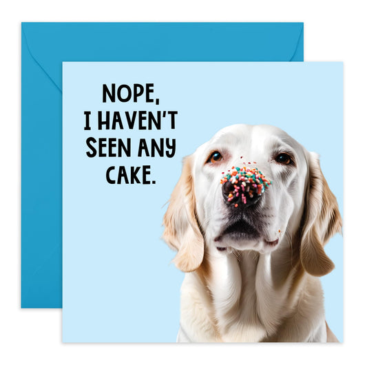 Dog Birthday Cards Funny - 'I Haven't Seen Any Cake' - Happy Birthday Card From The Dog - Cute Birthday Cards for Owners - Gifts for Dog Mum Fur Dad - Comes With Cute Stickers By Central 23