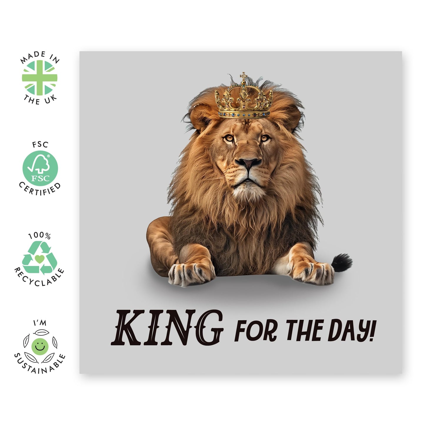 Birthday Card - 'KING FOR THE DAY' - Perfect for Celebrating Someone’s Special Day with Royal Flair - Ideal for Making Them Feel Extra Special and Appreciated - Comes With Stickers By Central 23