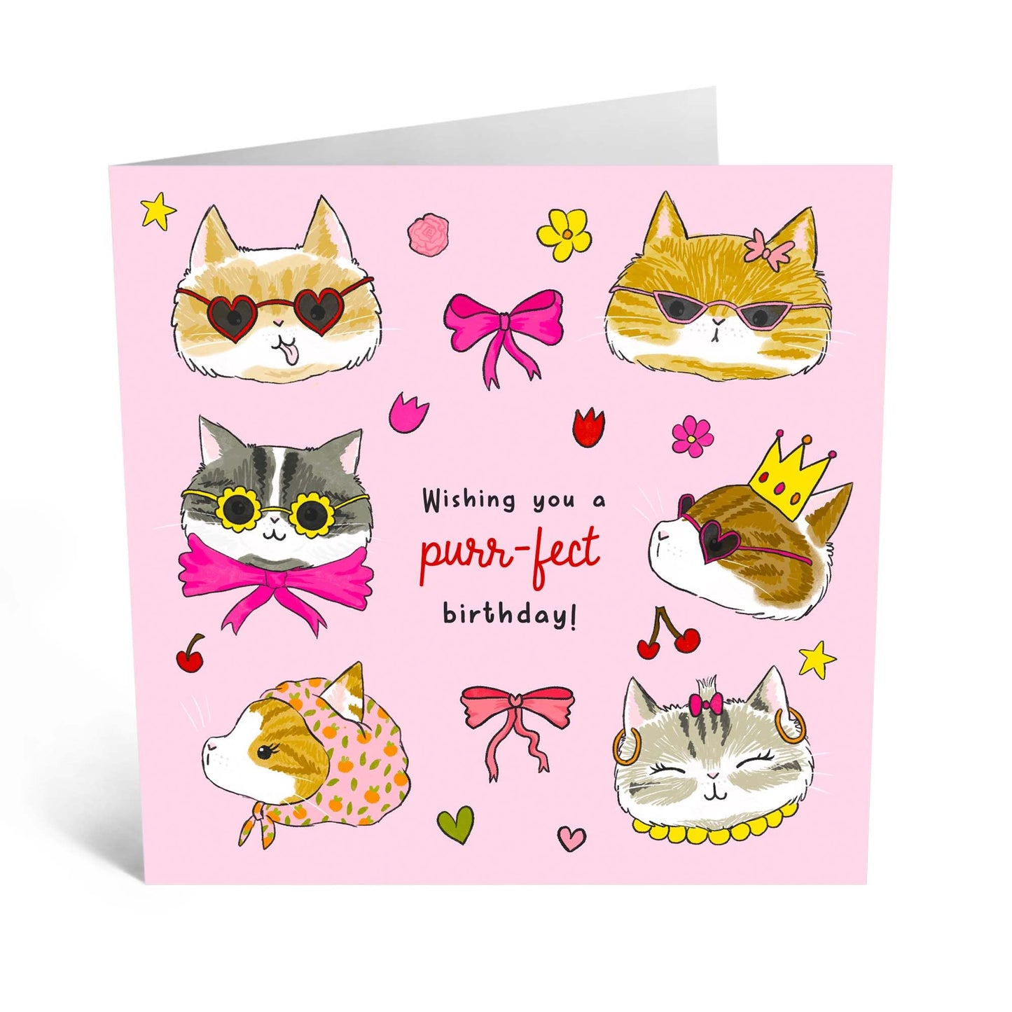 Birthday Card - 'PINK BOWS CATS' - Perfect for Celebrating Cat Lovers on Their Special Day - Ideal for Her, Friends, Family, or Anyone Who Adores Feline Friends - Comes With Stickers By Central 23