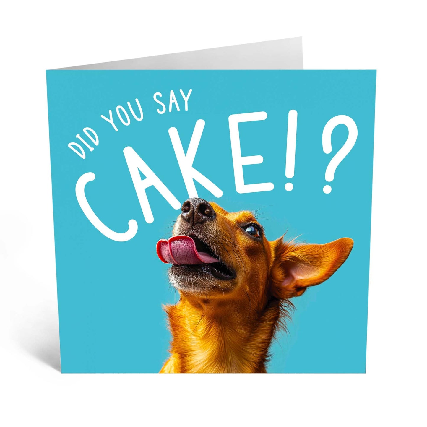 Birthday Card - 'DID YOU SAY CAKE? DOG' - Perfect for Celebrating Dog Lovers - Ideal for Him Her Friends, Family, or Anyone Who Enjoys a Fun Twist on Birthdays - Comes With Stickers By Central 23