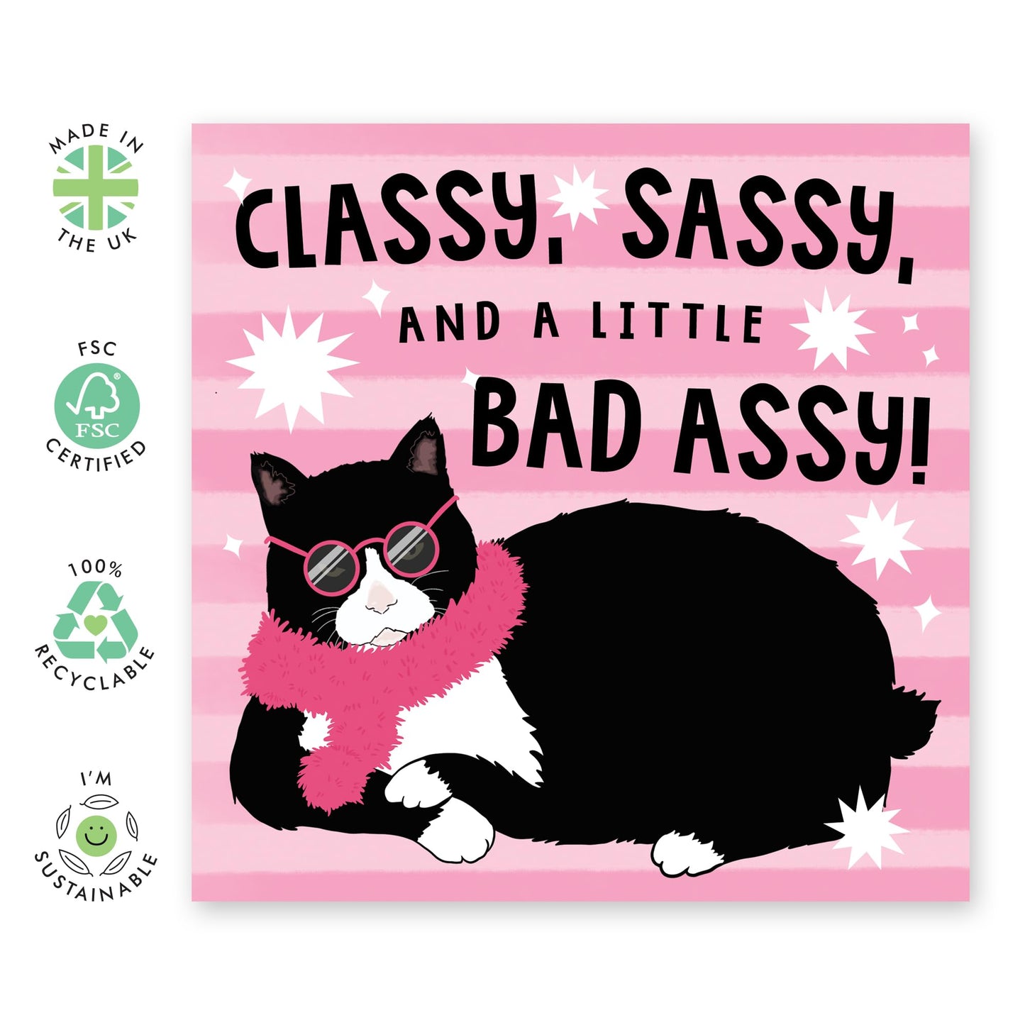Greeting Card - 'CLASSY, SASSY, BAD ASSY CAT' - Perfect for Celebrating with a Touch of Feline Attitude - Ideal for Adding Humor to Any Occasion or Special Mument - Comes With Stickers By Central 23