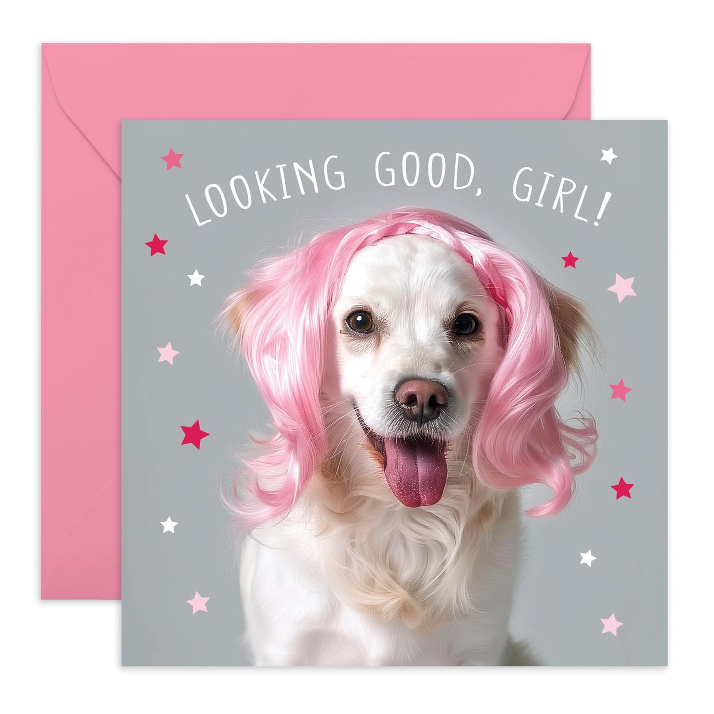 Greeting Card - 'LOOKING GOOD GIRL DOG WIG' - Perfect for Celebrating with a Fun and Fabulous Twist - Ideal for Adding Humor and Style to Any Occasion - Comes With Stickers By Central 23