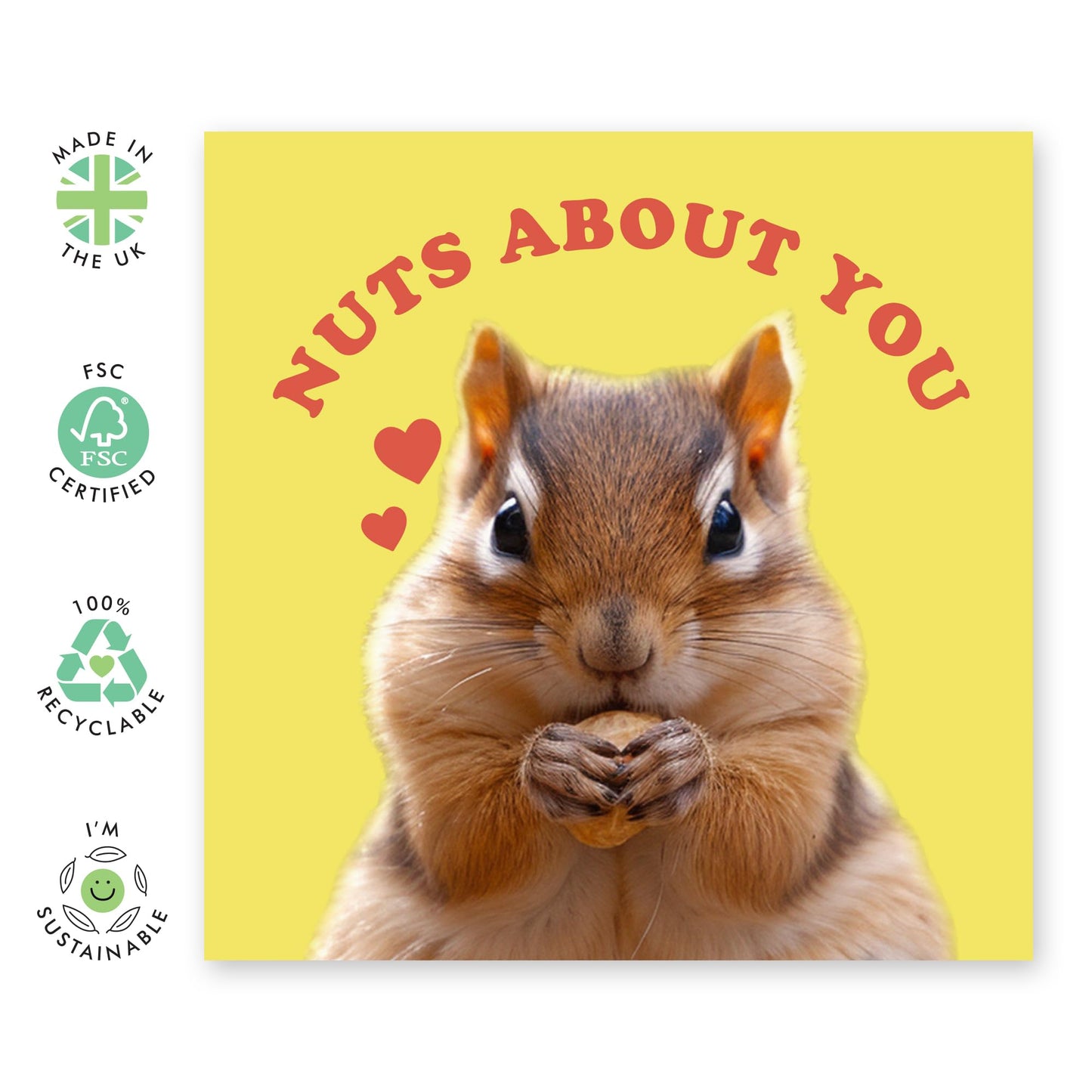 Anniversary Greeting Card - 'Nuts About You' - Romantic Gift for Wife, Husband, Girlfriend, Boyfriend, Married Couple - Cuteness Overload - Comes with Fun Stickers