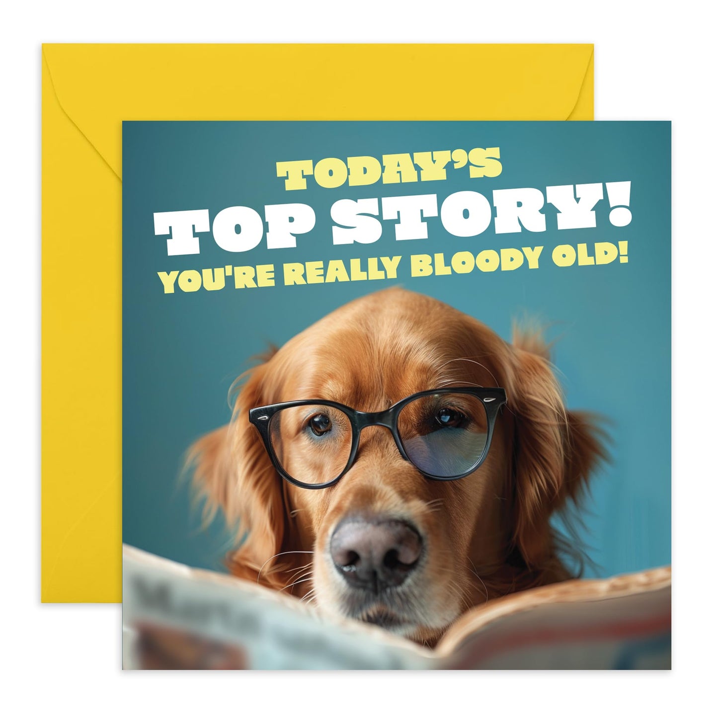 Cute Dog Happy Birthday Card - 'Todays Top Story' - Gifts for Him, Her, Dog & Pet Lovers, Fur Parents & Owners - Older and Wiser - Comes with Fun Stickers