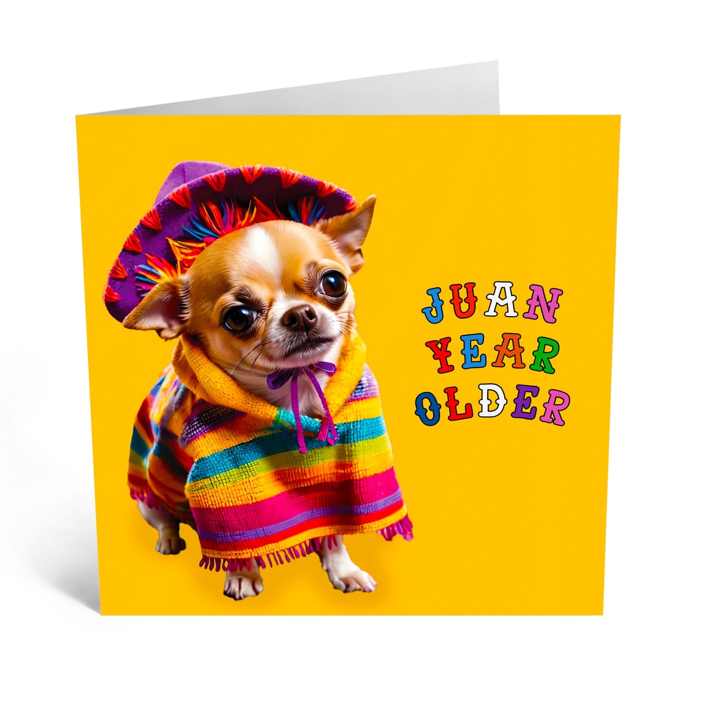 Birthday Greeting Card - 'JUAN YEAR OLDER DOG' - Perfect for Celebrating with a Fun Twist - Ideal for Dog Lovers and Adding a Touch of Humor and Joy to Any Birthday - Comes With Stickers By Central 23