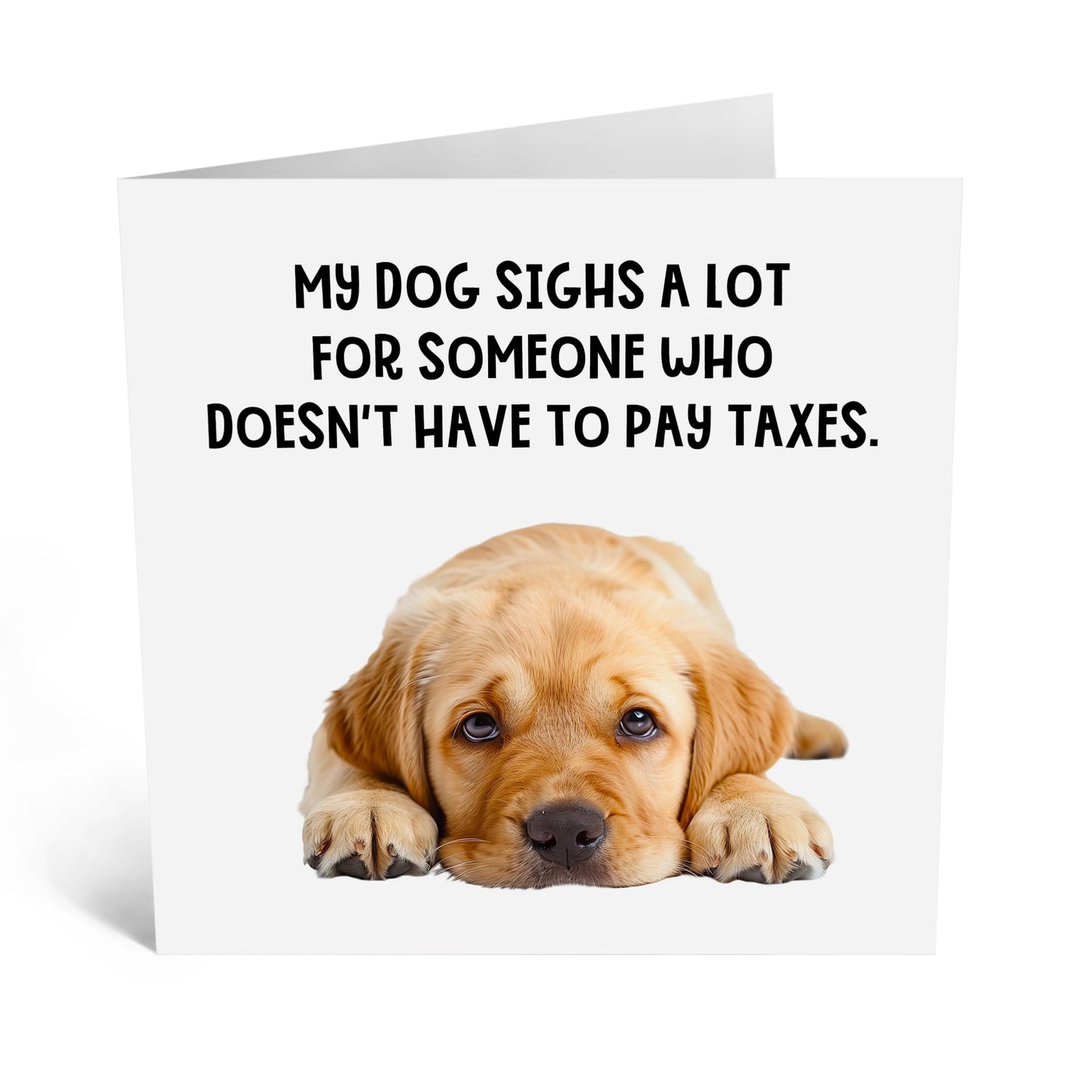 Greeting Card - 'DOG SIGHS DOESN'T PAY TAXES' - Perfect for Any Occasion with a Humorous Twist and Quirky Design - Ideal for Adding a Fun Touch to Celebrations - Comes With Stickers By Central 23