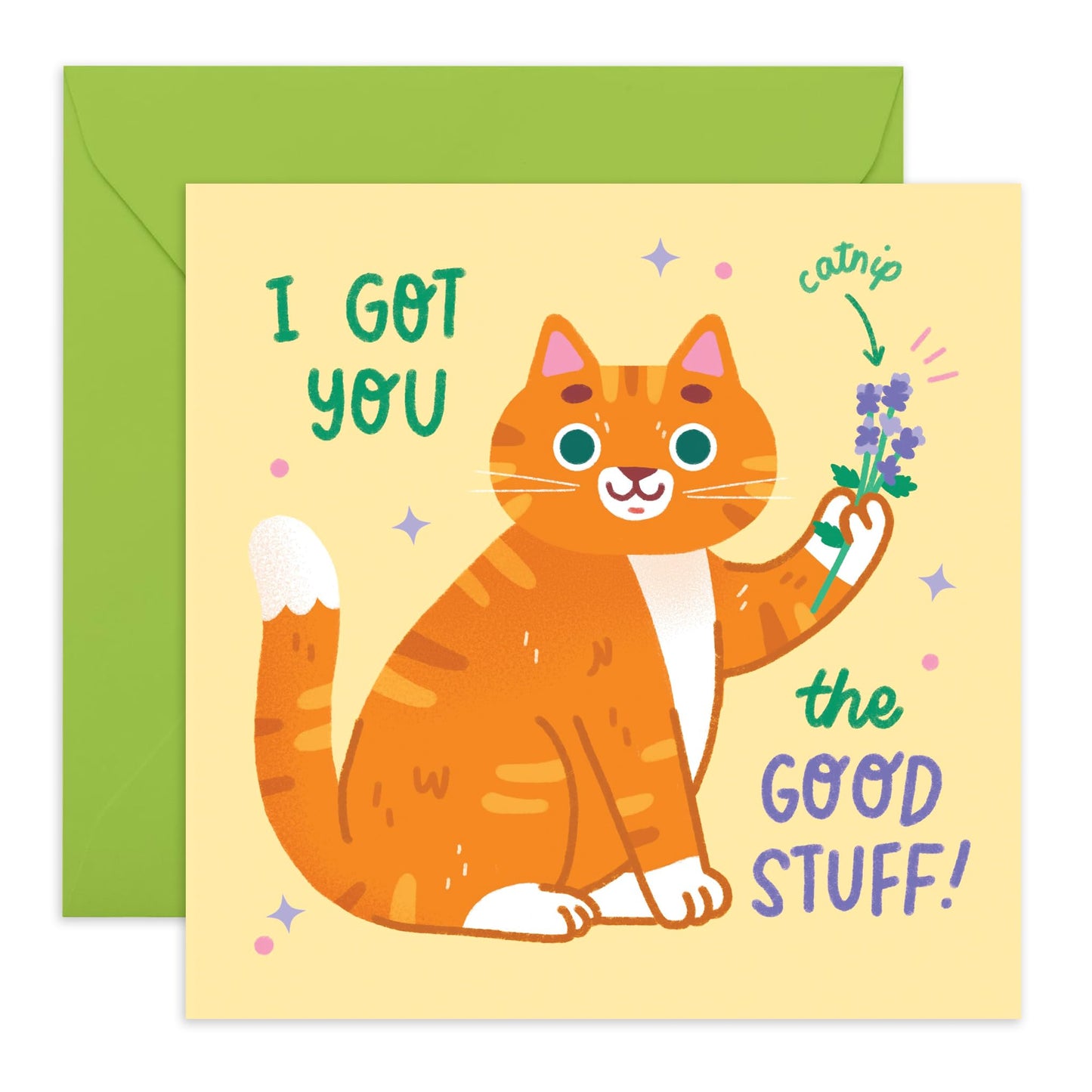 Cat Birthday Card - Got You The Good Stuff - Funny Birthday Cards For Women - Humour - Greeting Cards For Cat Mum - Gifts For Fur Parents - Comes With Stickers - By Central 23
