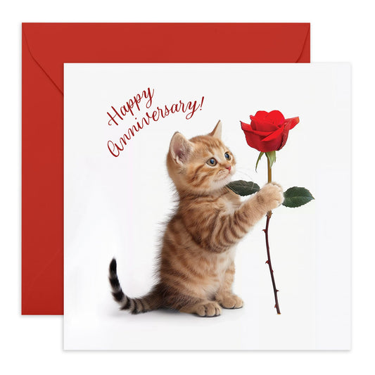 Greeting Card - 'ANNIVERSARY CAT' - Perfect for Celebrating Your Special Day with Feline Flair - Ideal for Adding a Touch of Cuteness and Fun to Your Anniversary - Comes With Stickers By Central 23