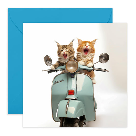 Fun Greeting Card - 'MOPED CATS' - Ideal for Cat Lovers and Adding a Playful Touch to Any Occasion - Perfect for Celebrating with a Unique Twist and a Smile - Comes With Stickers By Central 23
