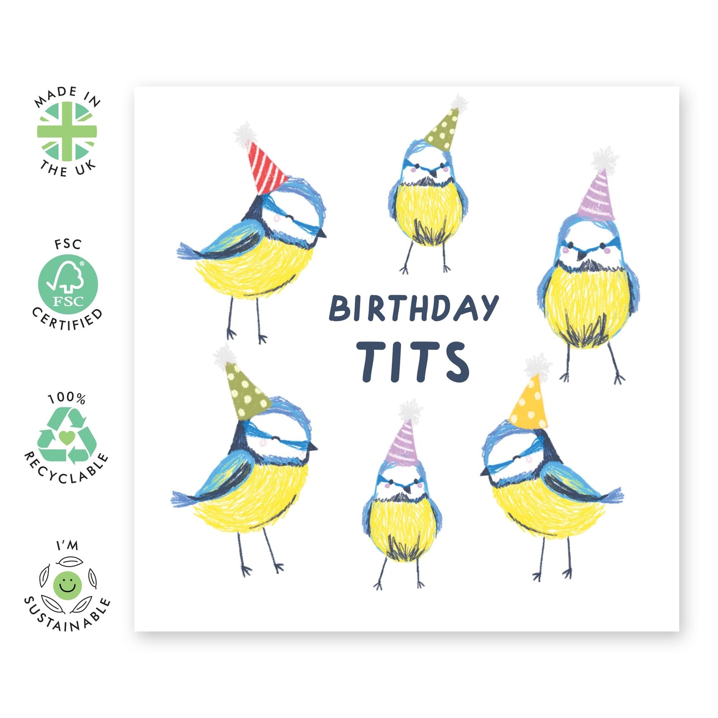 Birthday Cards For Men Funny - Birthday Tits - Cute Birds Party - Pun Humour - Hilarious Birthday Cards For Women Him Her Son Daughter Friends - Gifts For Bday - Comes With Fun Stickers By Central 23