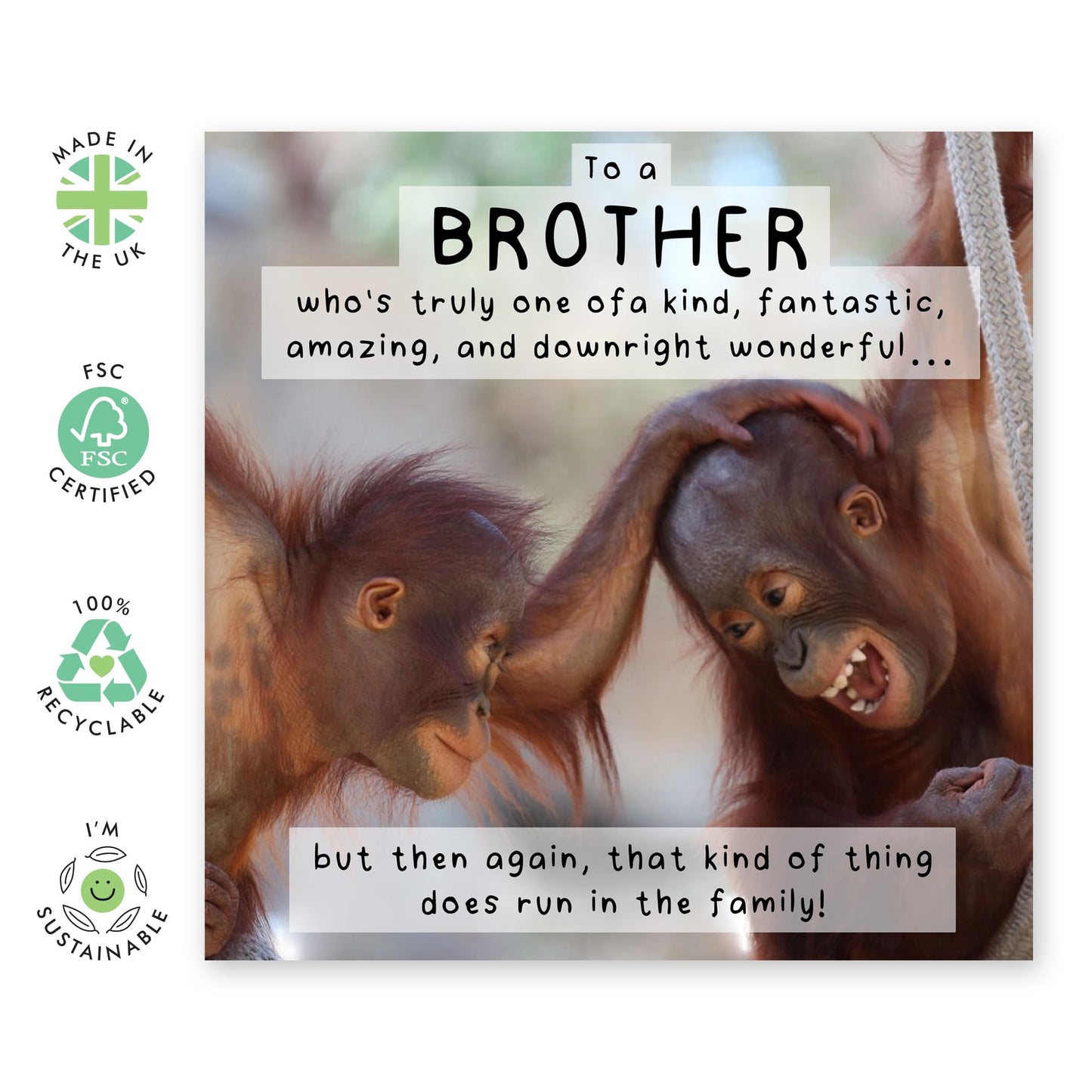 Chimpanzee Brother Birthday Card - 'One Of A Kind Brother' - Gifts for Bro, Sibling, Bruv, Family, Him, In-law, Step Bro - Wonderful Amazing Fantastic - Comes with Fun Stickers