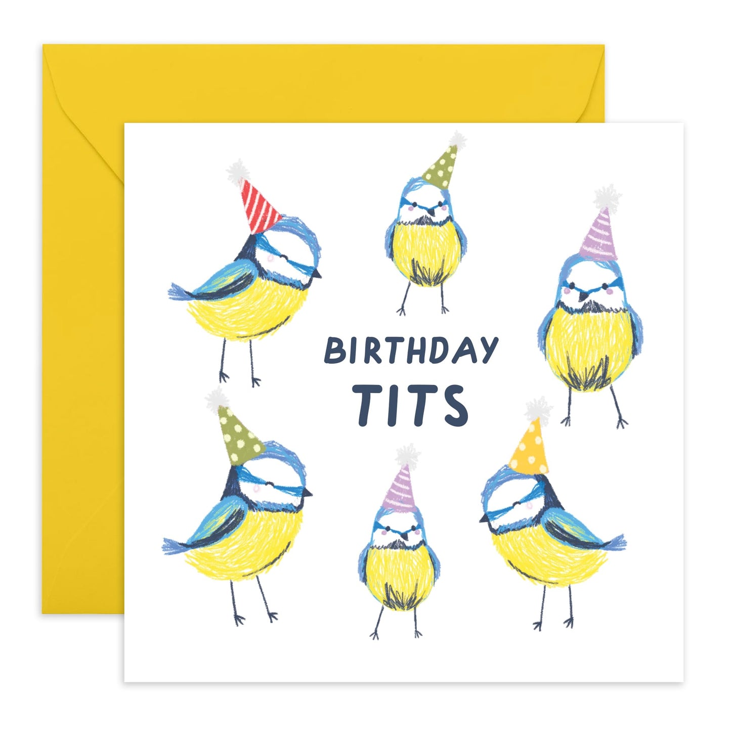 Birthday Cards For Men Funny - Birthday Tits - Cute Birds Party - Pun Humour - Hilarious Birthday Cards For Women Him Her Son Daughter Friends - Gifts For Bday - Comes With Fun Stickers By Central 23