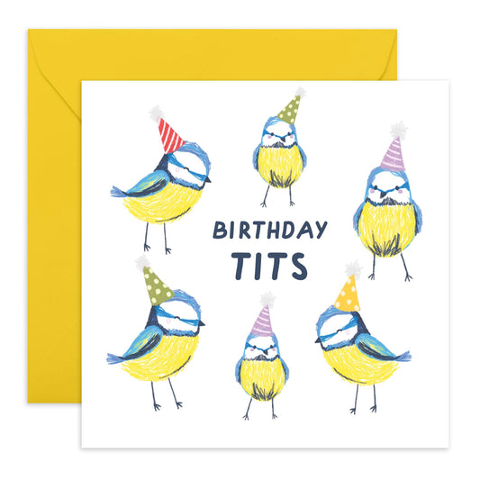 Birthday Cards For Men Funny - Birthday Tits - Cute Birds Party - Pun Humour - Hilarious Birthday Cards For Women Him Her Son Daughter Friends - Gifts For Bday - Comes With Fun Stickers By Central 23