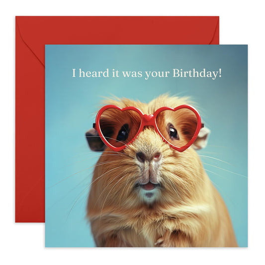 Kids Birthday Card - I Heard It Was Your Birthday - Animal Birthday Cards For Boys Girls Men Women - Gifts For Him Her - Comes With Stickers - By Central 23