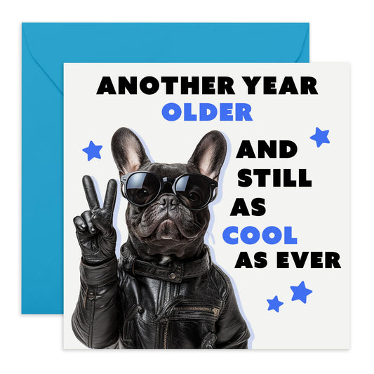 Pug Birthday Card Funny - Another Year Older And Still As Cool As Ever - Funny Dog Birthday Cards For Friends Fur Mum Dad - Gifts For Pet Owners - Comes With Cute Stickers By Central 23