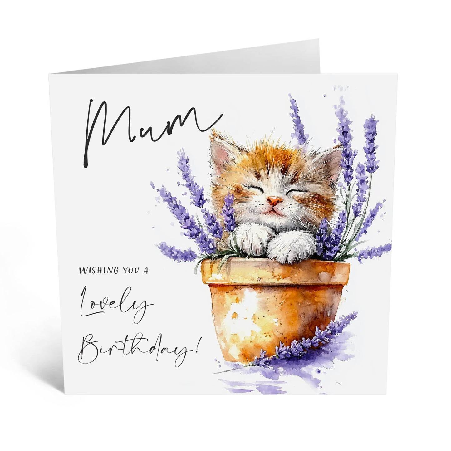 Cute Cat Birthday Card - 'Mum Lovely Birthday Cat' -Gifts for Mother, Mummy, In-Law, Step Mum, Mam, Family - Wishes For You - Comes with Fun Stickers