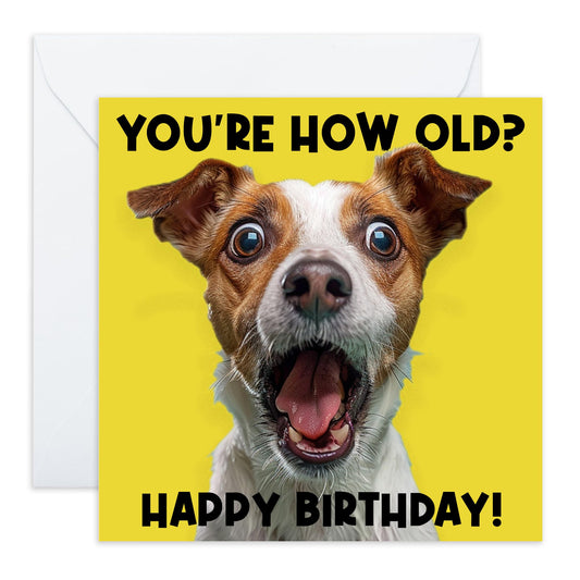 Shocked Dog Birthday Card - 'You're How Old' - Greetings for Him, Her, BFFs, Mum, Dad, Friends - Cute Dog Asking - Comes with Fun Stickers