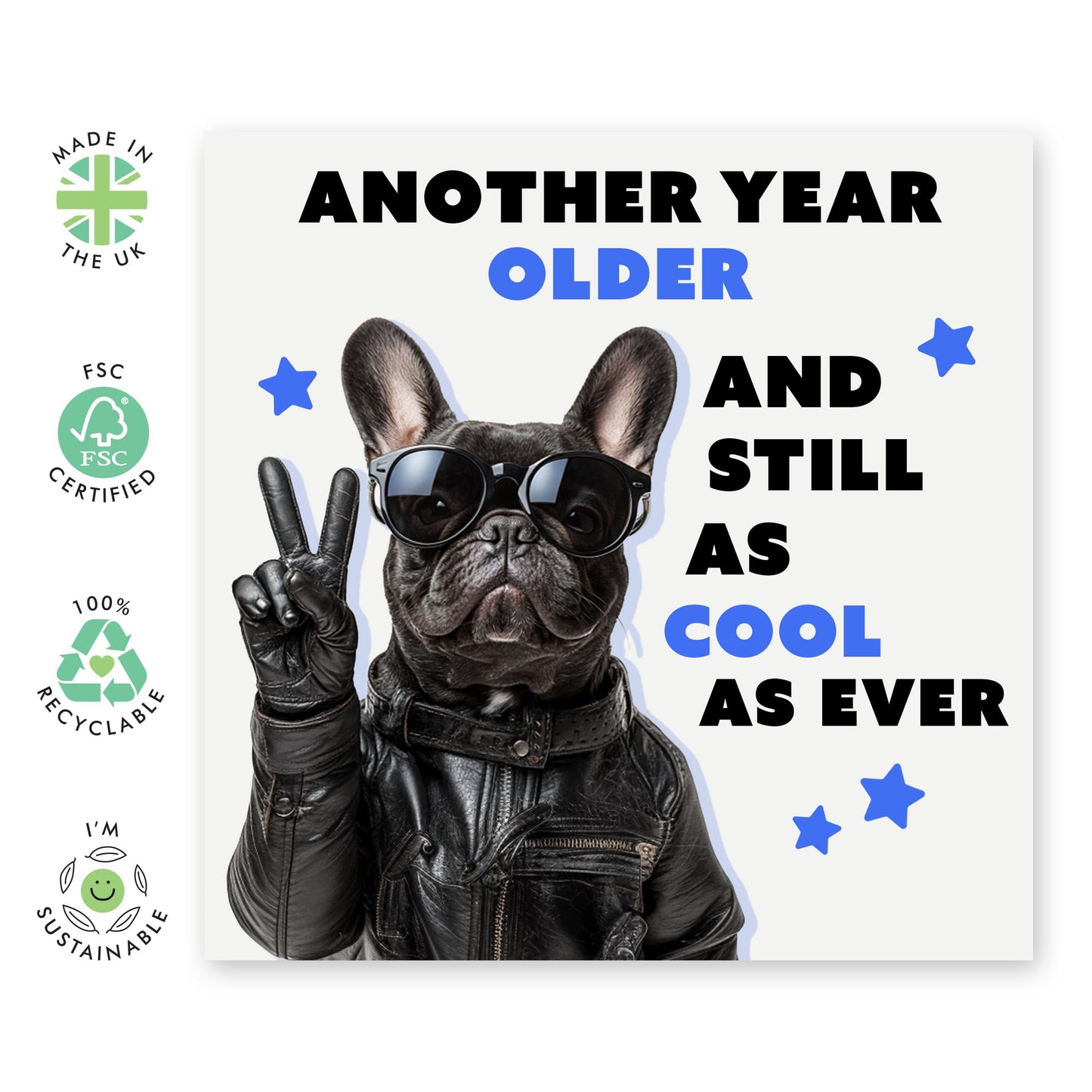 Pug Birthday Card Funny - Another Year Older And Still As Cool As Ever - Funny Dog Birthday Cards For Friends Fur Mum Dad - Gifts For Pet Owners - Comes With Cute Stickers By Central 23