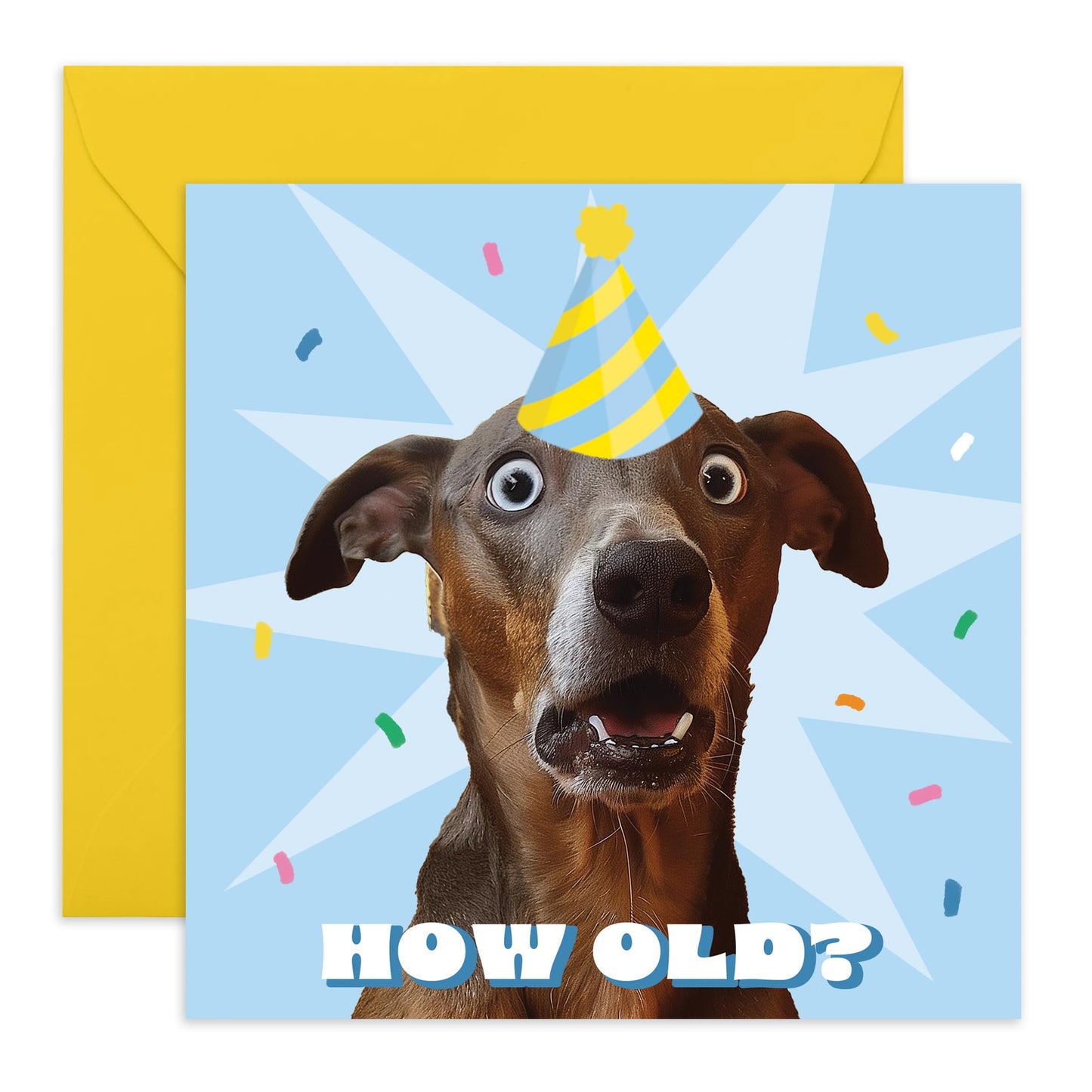 HOW OLD DOG