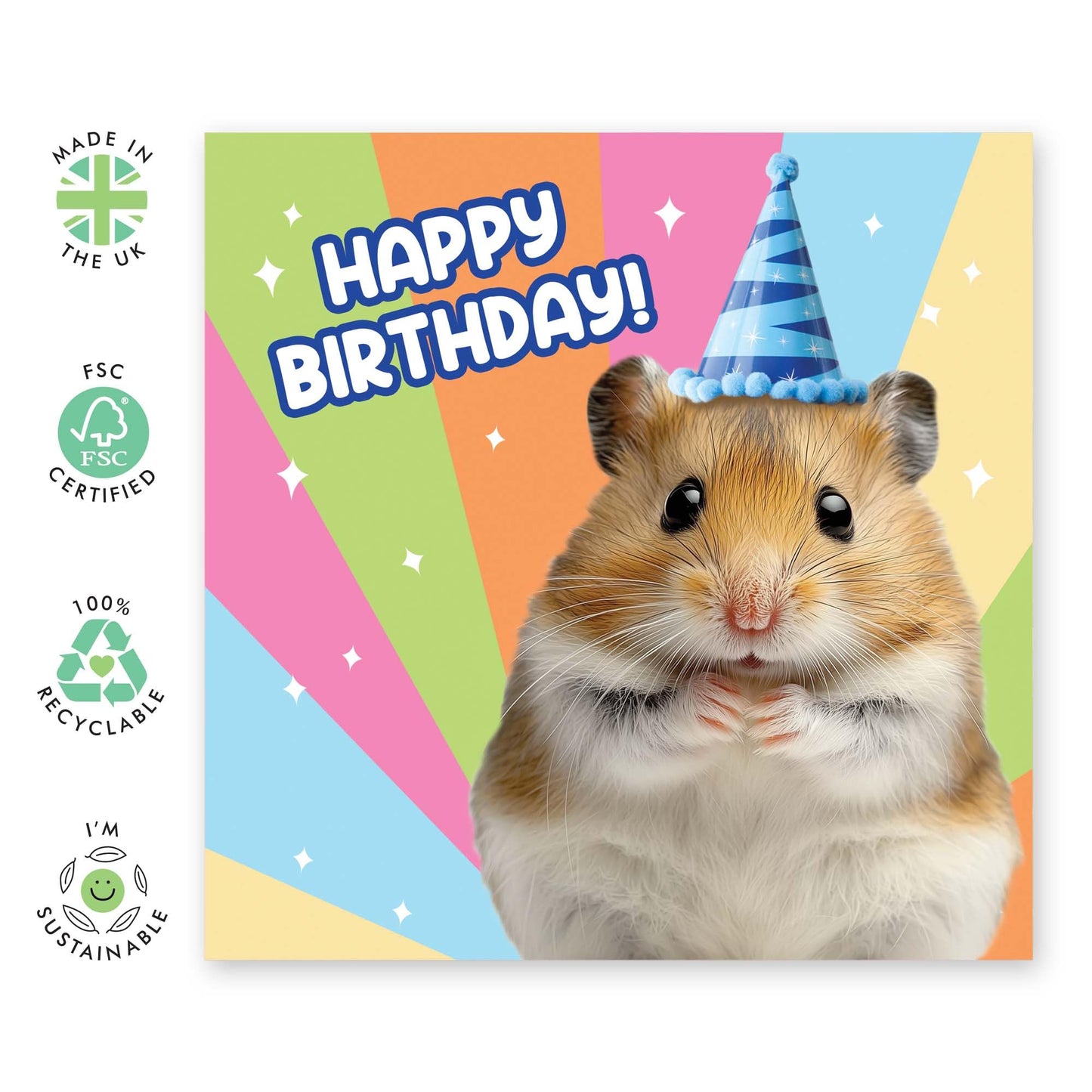 Funny Birthday Cards For Kids - Hamster Wearing Party Hat - Happy Birthday Card For Men Women - Friends Birthday Card - Greeting Cards For Brother Sister - Comes With Stickers - By Central 23