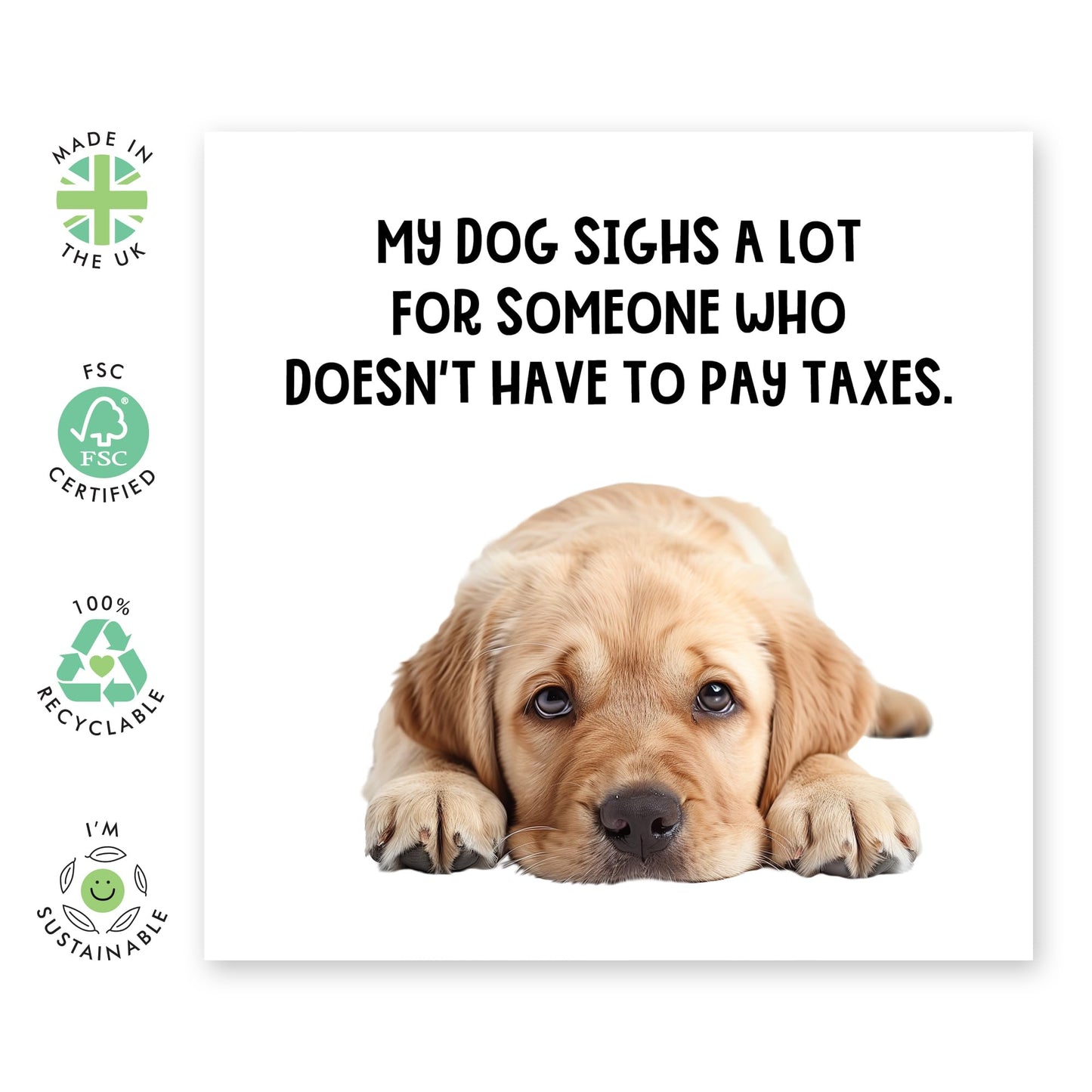 Greeting Card - 'DOG SIGHS DOESN'T PAY TAXES' - Perfect for Any Occasion with a Humorous Twist and Quirky Design - Ideal for Adding a Fun Touch to Celebrations - Comes With Stickers By Central 23