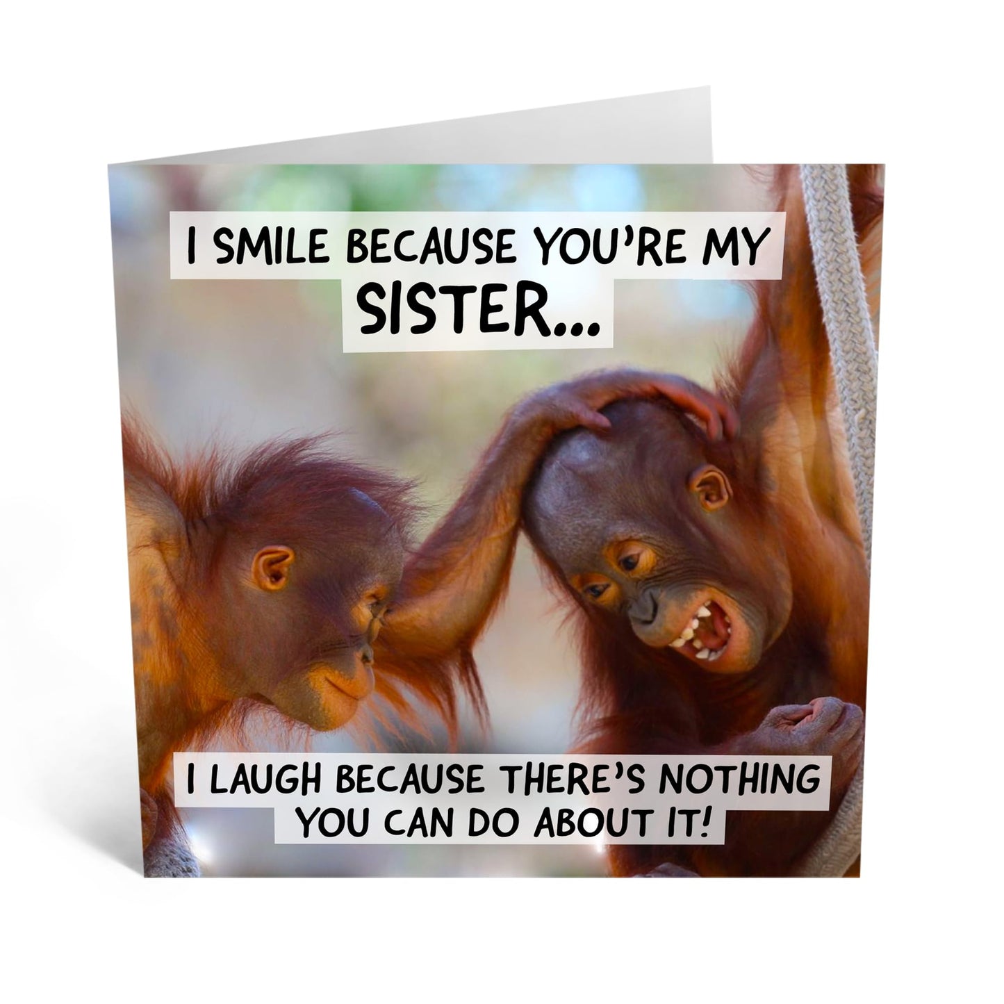 Greeting Card - 'SMILE BECAUSE YOU'RE MY SISTER' - Perfect for Any Occasion with a Heartfelt Design - Ideal for Expressing Love and Appreciation to a Special Sister - Comes With Stickers By Central 23