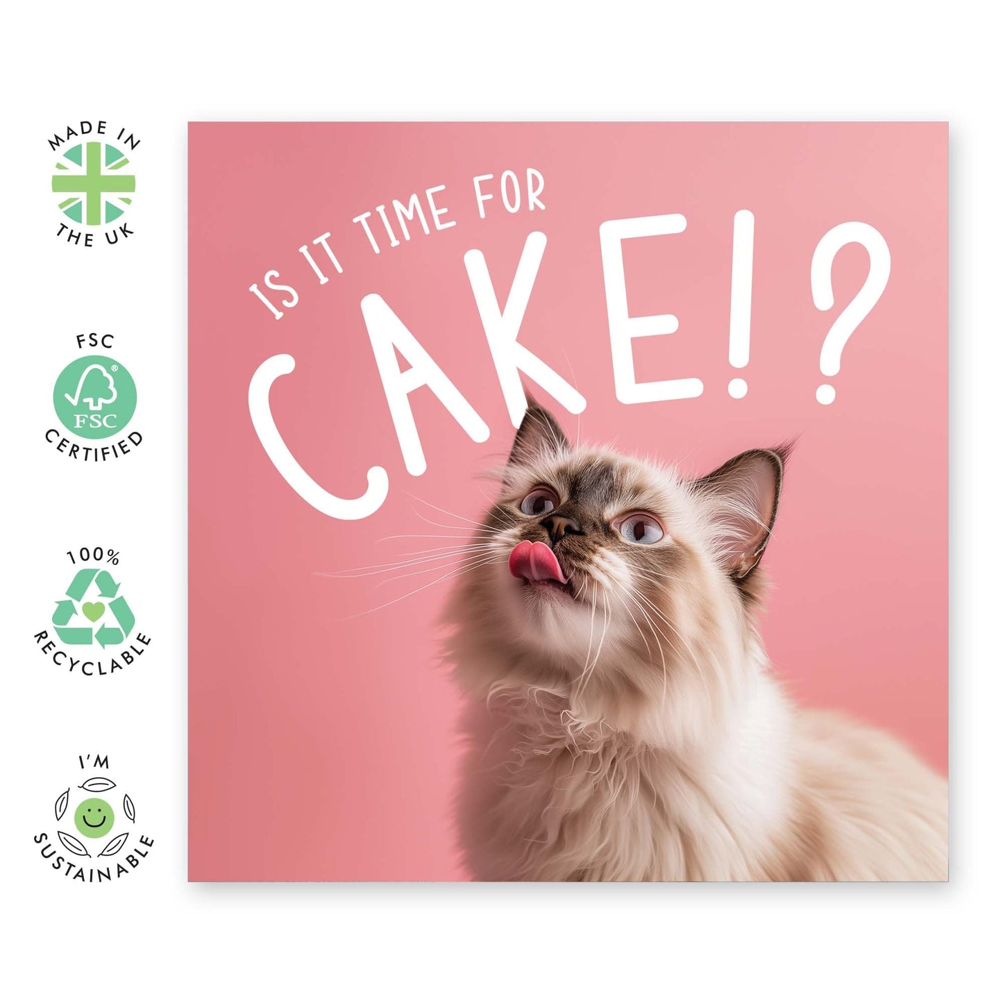 Birthday Card - 'IS IT TIME FOR CAKE? CAT' - Perfect for Celebrating Cat Lovers - Ideal for Him, Her, Friends, Family, or Anyone Who Loves Feline Fun and Birthdays - Comes With Stickers By Central 23