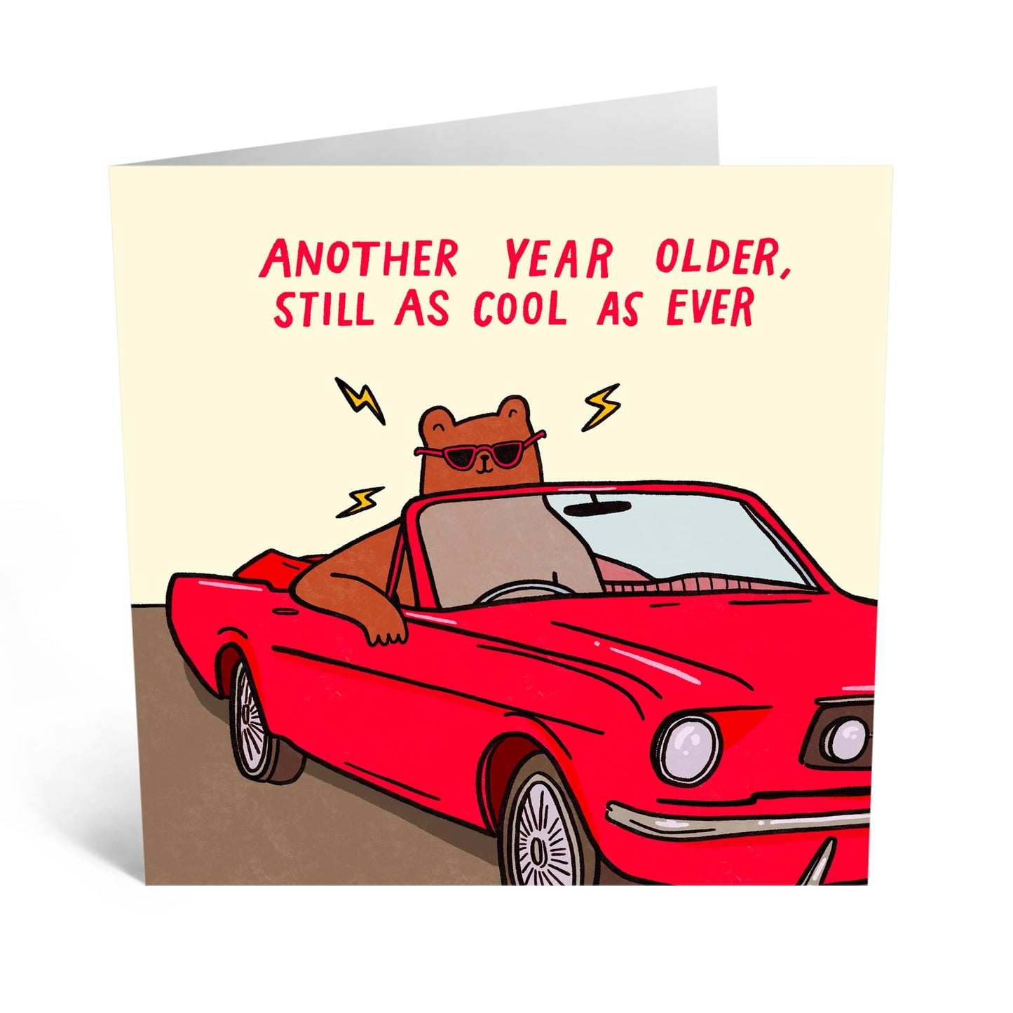 Funny Birthday Card - 'ANOTHER YEAR OLDER!' - Perfect for Celebrating Milestones with a Humorous Twist - Ideal for Friends Family Besties BFFs Brotherhood Sisters - Comes With Stickers By Central 23