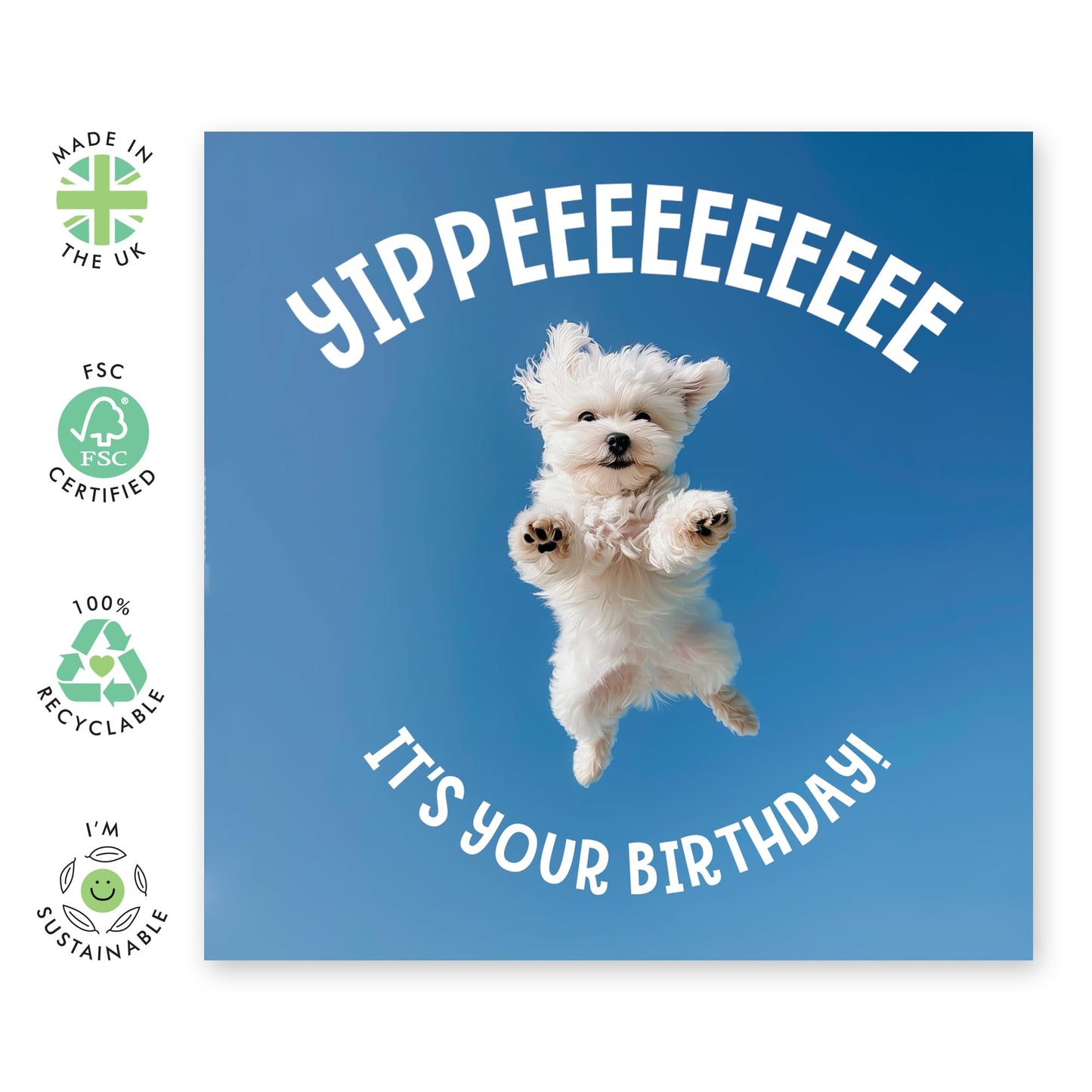 Birthday Card - 'YIPPEE, IT'S YOUR BIRTHDAY PUPPY!' - Perfect for Celebrating with a Fun and Furry Twist - Ideal for Adding a Cheerful Touch to Their Special Day - Comes With Stickers By Central 23