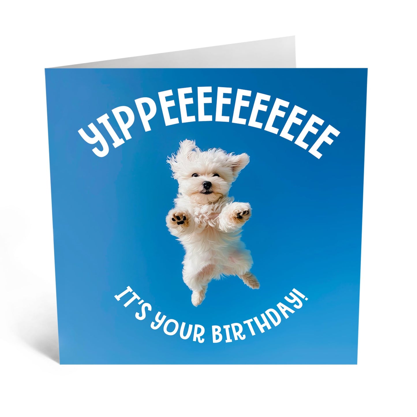 Birthday Card - 'YIPPEE, IT'S YOUR BIRTHDAY PUPPY!' - Perfect for Celebrating with a Fun and Furry Twist - Ideal for Adding a Cheerful Touch to Their Special Day - Comes With Stickers By Central 23