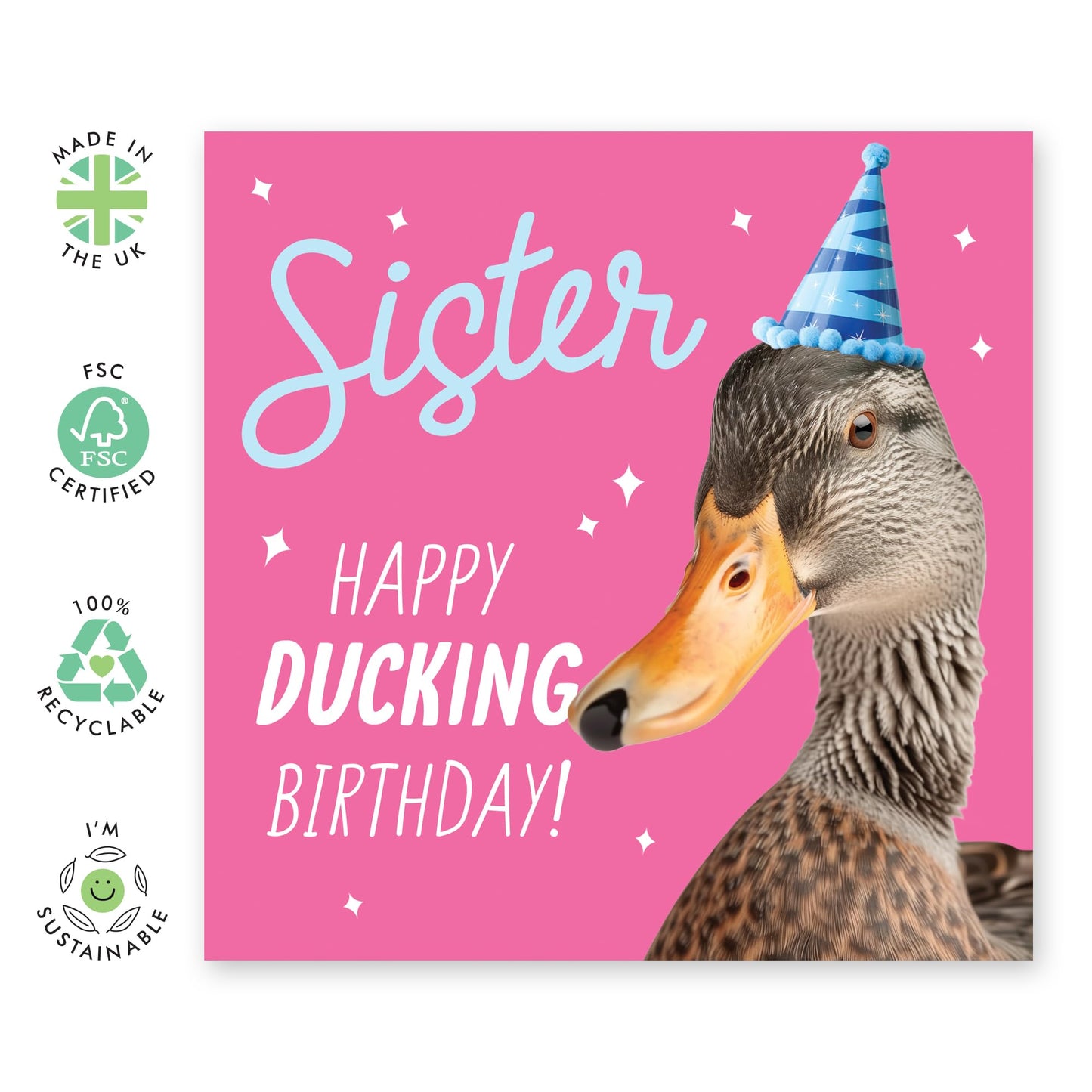 Birthday Greeting Card - 'SISTER HAPPY DUCKING BIRTHDAY' - Ideal for Celebrating with a Splash of Humor & Fun - Perfect To Show Love to Your Sister’s Special Day - Comes With Stickers By Central 23