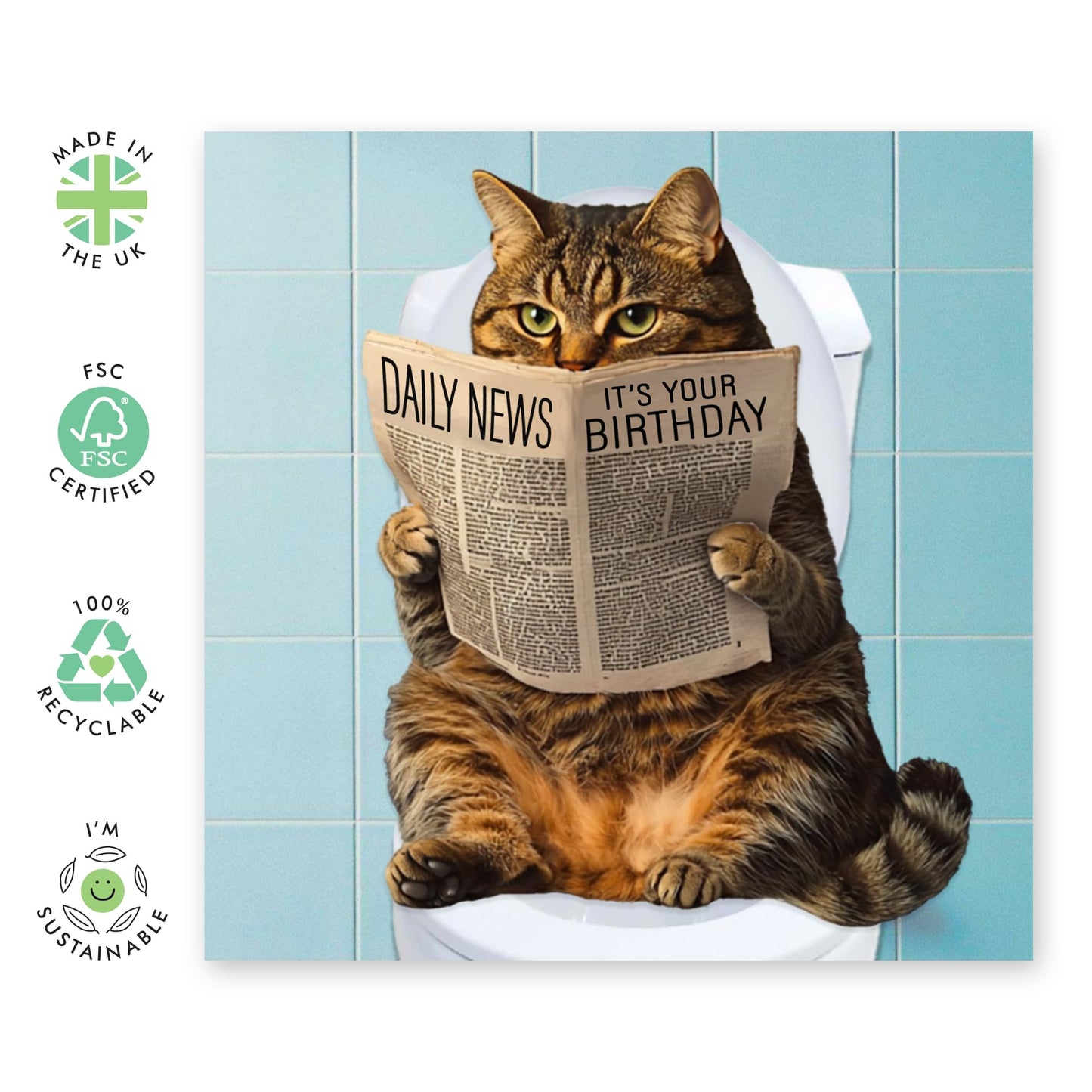 Reading Cat Birthday Card - 'Daily News Birthday Cat' - Gifts for Bruv, Mates, Best Friends, Besties, BFF, Co-workers, Colleagues, Bro, Uncle, Dad - Newspaper- Comes with Fun Stickers