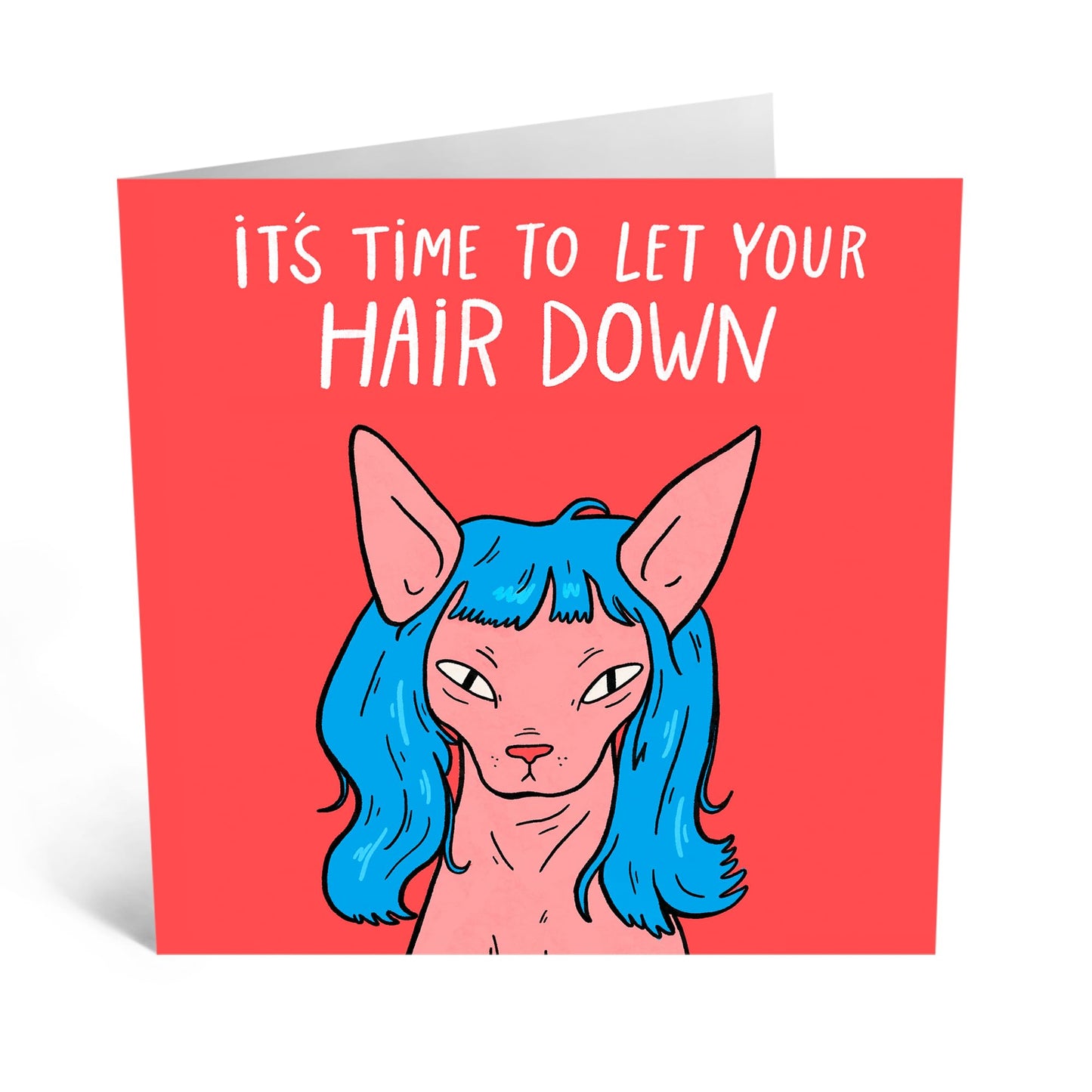 Funny Greeting Card - 'WIGGED CAT' - Perfect for Adding a Hilarious and Lighthearted Touch to Any Occasion - Ideal for Him, Her, Friends, Family, Colleagues - Comes With Stickers By Central 23