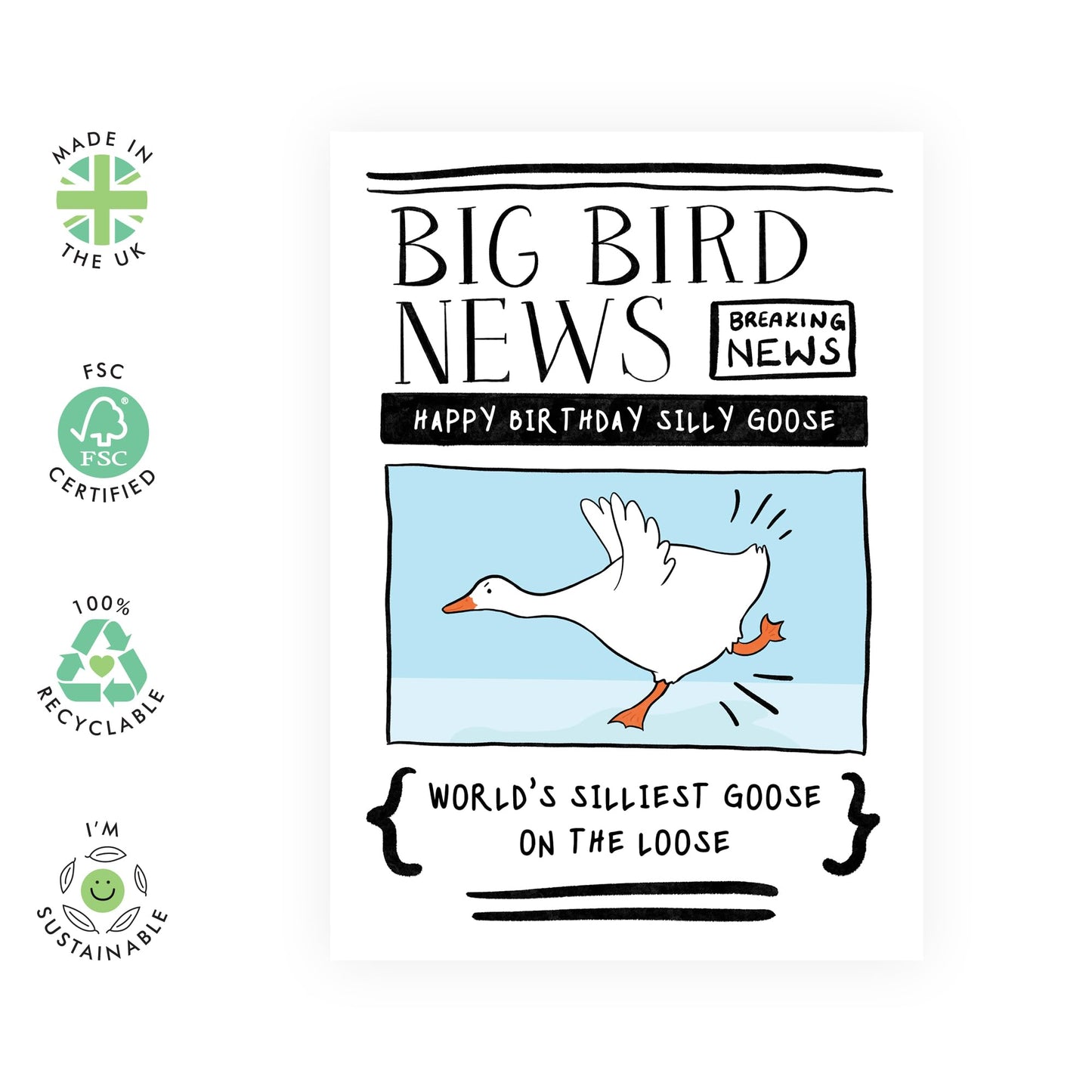 Brother Birthday Card From Sister - Silly Goose - Funny Greeting Cards Birthday For Friends - Happy Birthday Husband Card - Gifts For Him And Her - Comes With Stickers - By Central 23