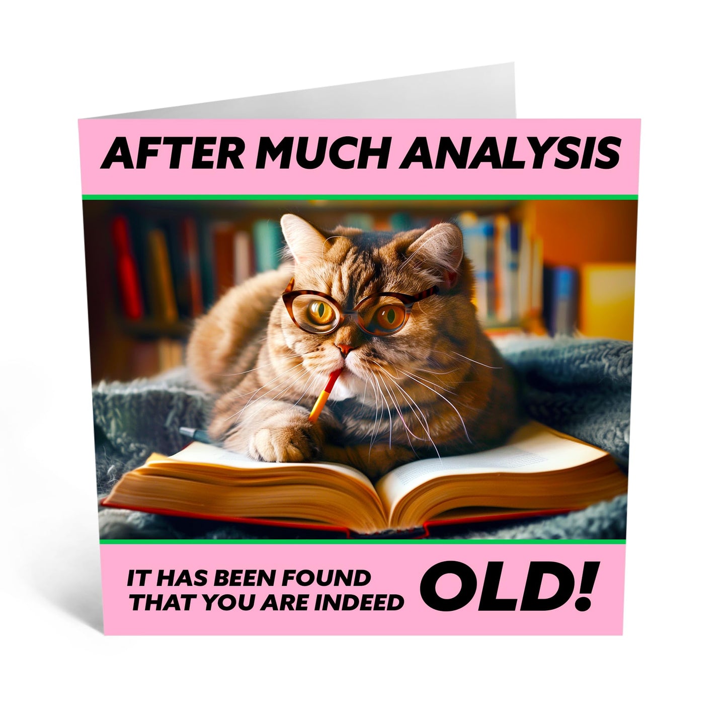 Greeting Card - 'INDEED OLD CAT' - Perfect for Cat Lovers and Celebrating Aging with Humor - Ideal for Birthdays or Any Occasion - Adds a Fun, Feline Twist - Comes With Stickers By Central 23