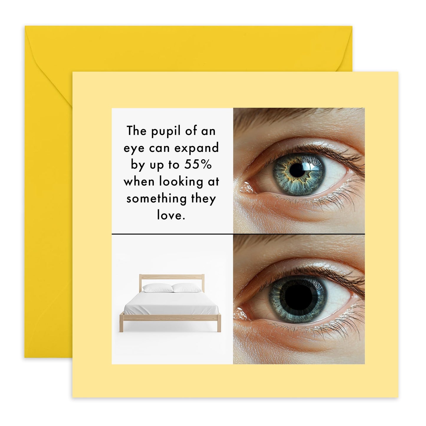Humorous Birthday Card Who Needs More Sleep - 'Bed Pupils' - Gifts for Colleagues, Coworkers, Officemate, Him, Her- Proven - Comes with Fun Stickers