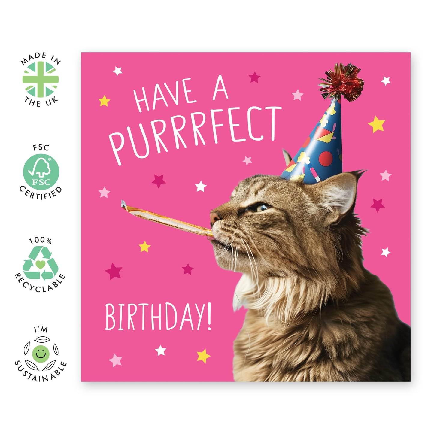 Birthday Greeting Card - 'PURRRFECT BIRTHDAY CAT' - Ideal for Cat Lovers Celebrating with Charm - Perfect for Adding a Purr-fectly Fun Touch to Their Special Day - Comes With Stickers By Central 23