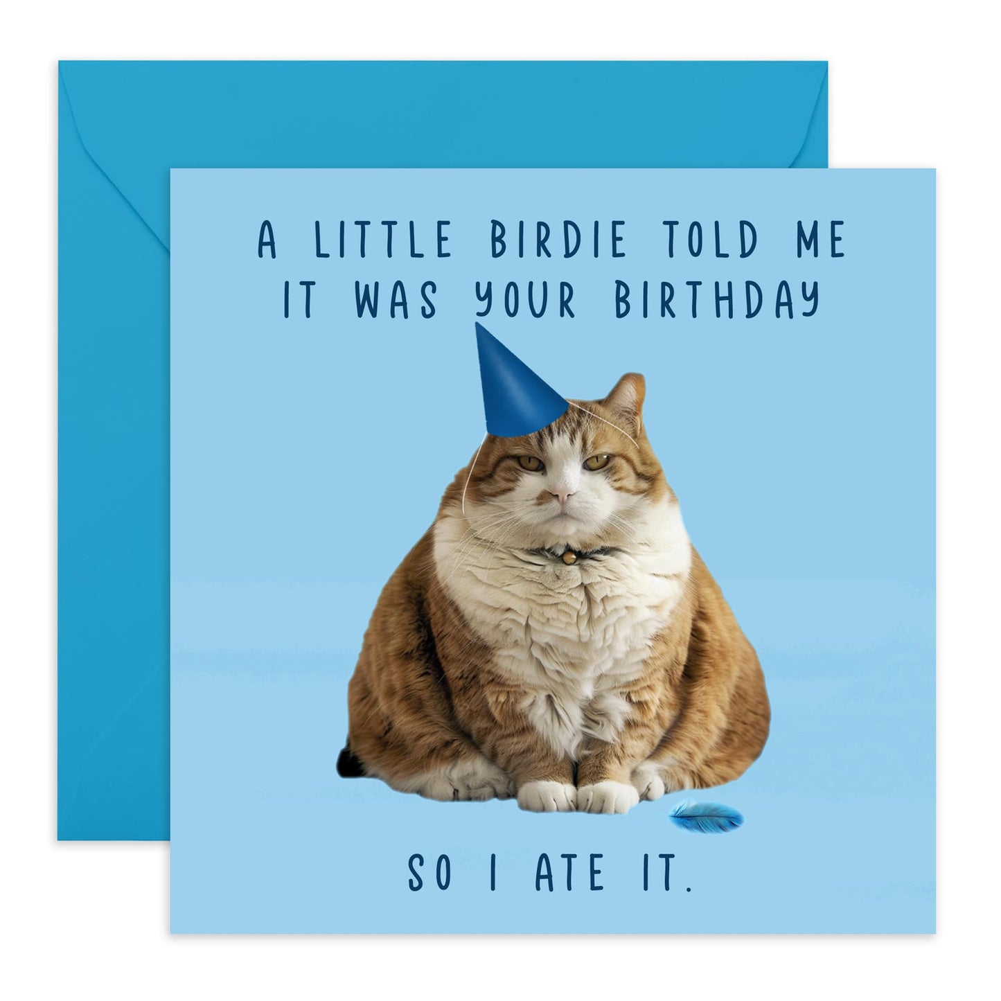 Hilarious Cat for a Birthday Card - 'I Ate It Ginger Cat' - Jokes for Coworkers, Mates, Buddy, Best Friend, Colleagues, Officemate, Classmate - Jokes for your Bday- Comes with Fun Stickers