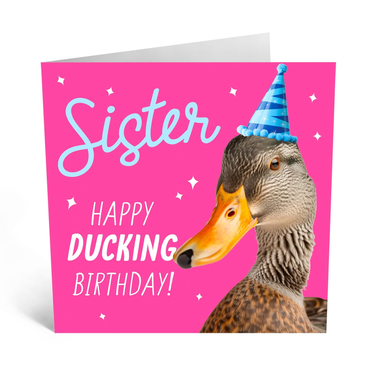 Birthday Greeting Card - 'SISTER HAPPY DUCKING BIRTHDAY' - Ideal for Celebrating with a Splash of Humor & Fun - Perfect To Show Love to Your Sister’s Special Day - Comes With Stickers By Central 23