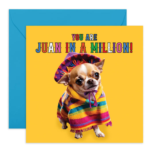 Funny Birthday Cards For Men Women - Juan In A Million - Humorous Chihuahua Dog Greeting Card for Fur Mum Dad Husband Wife Son Daughter Mummy Ma Her Him - Mothers Day Card -Comes With Cute Stickers