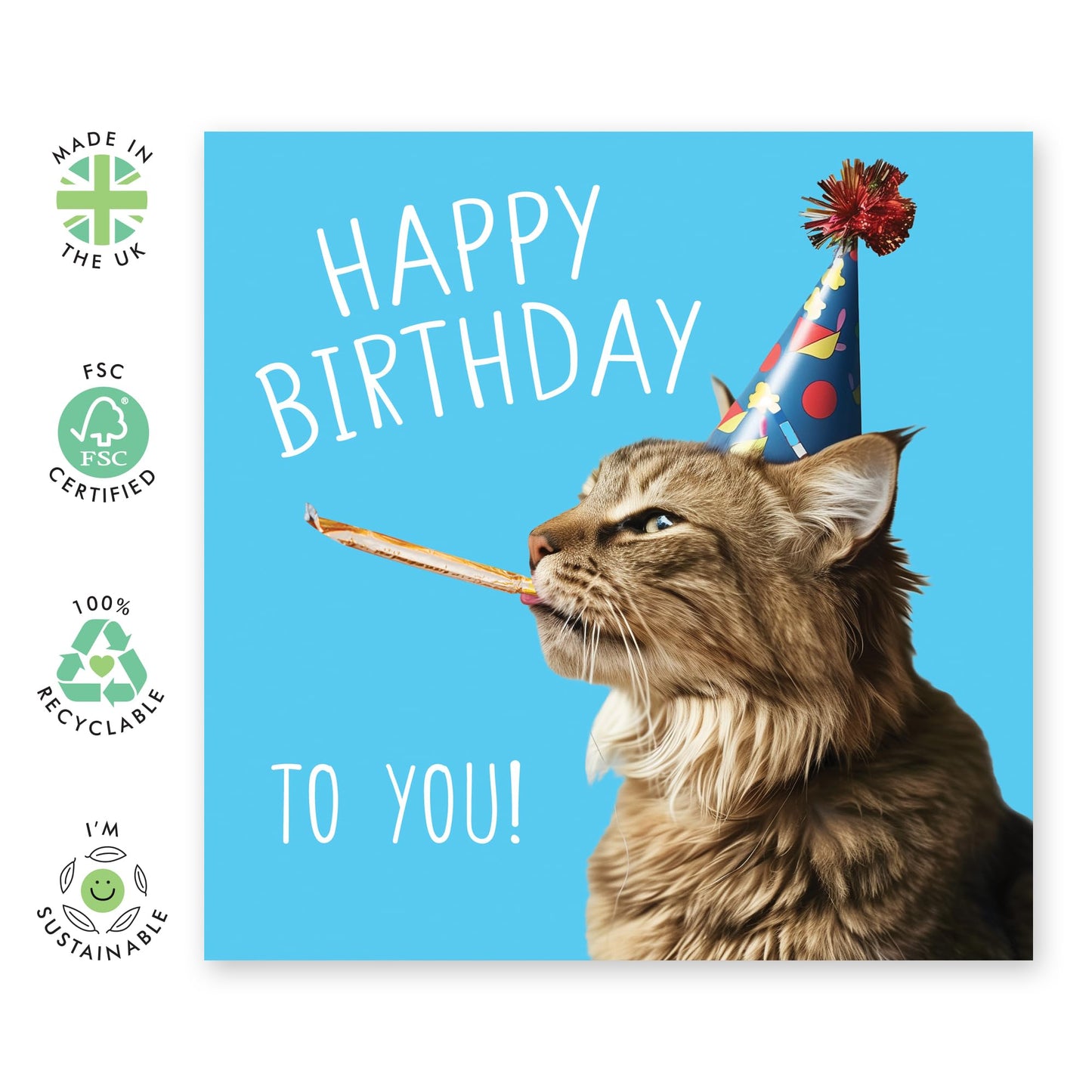 Birthday Greeting Card - 'BIRTHDAY TO YOU CAT' - Perfect for Cat Lovers Celebrating with Feline Flair - Ideal for Adding a Purr-fect Touch to Their Special Day - Comes With Stickers By Central 23