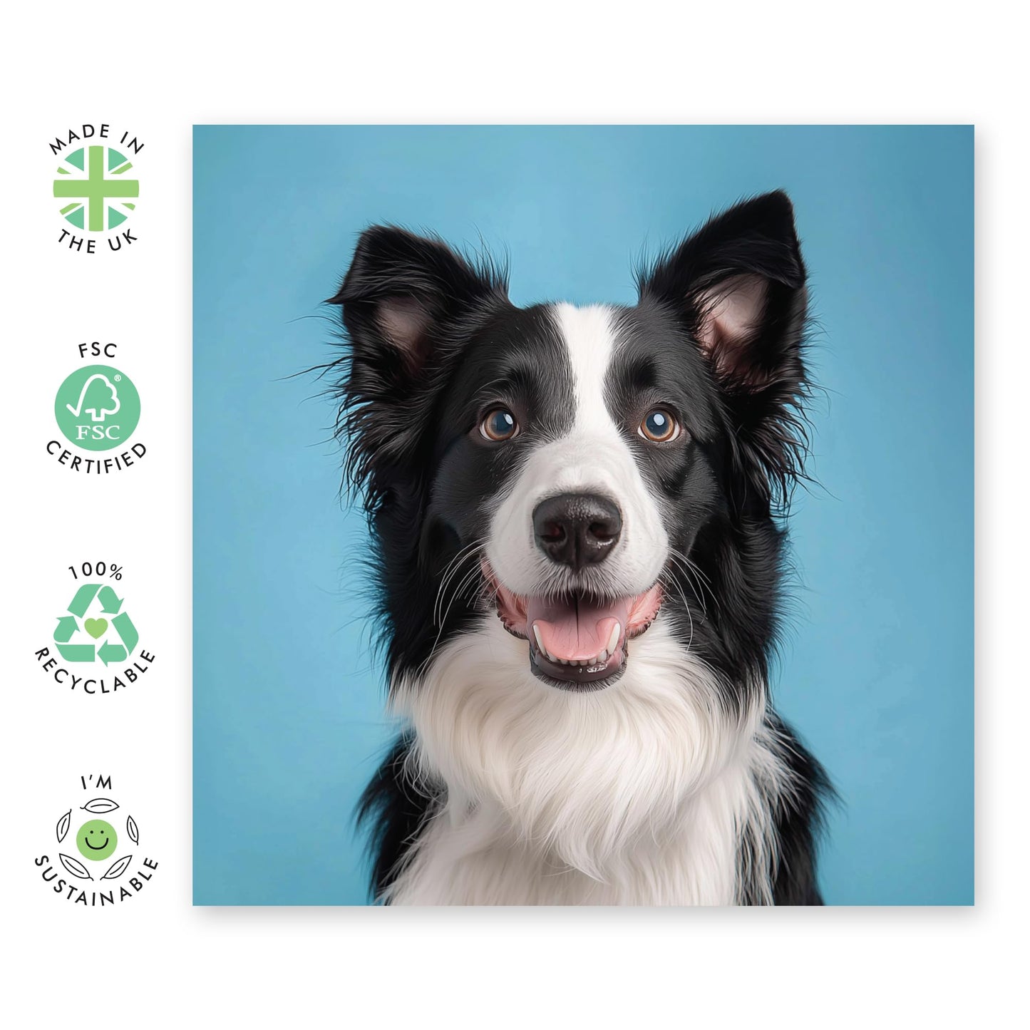 Border Collie Dog Happy Birthday Card – Gifts for Dog Loves, Pet Owners, Fur Dad Mum, Friends, Brother, Sister, Colleagues, Neighbours, Mates, Buddy, Pal, Him, Her - Smiling - Comes with Fun Stickers