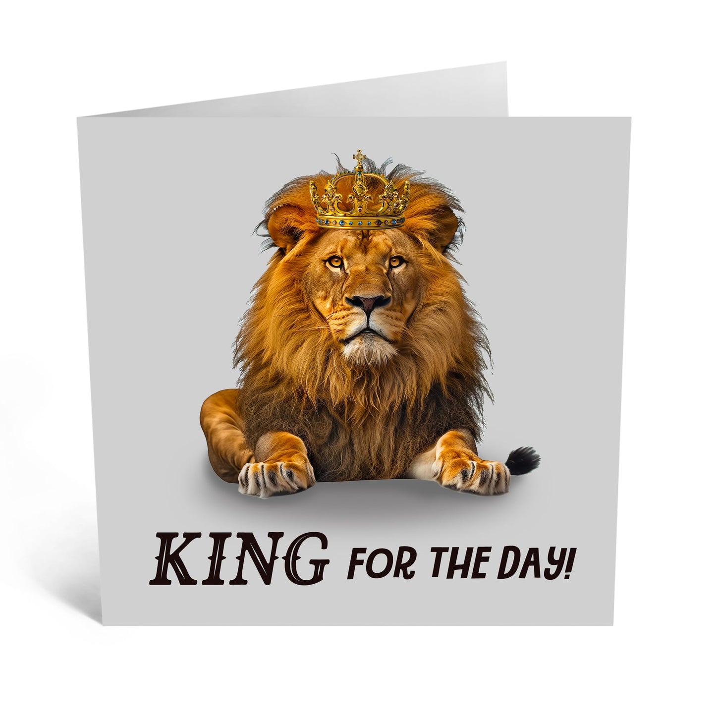 Birthday Card - 'KING FOR THE DAY' - Perfect for Celebrating Someone’s Special Day with Royal Flair - Ideal for Making Them Feel Extra Special and Appreciated - Comes With Stickers By Central 23