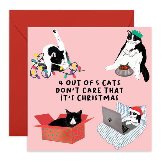 Christmas Cards Men Women - Cats Dont Care Its Christmas - Cat Christmas Cards Mum Dad - Wife Husband Xmas Card Brother Sister - Christmas Card Box - Gift - Comes With Fun Stickers - By Central 23